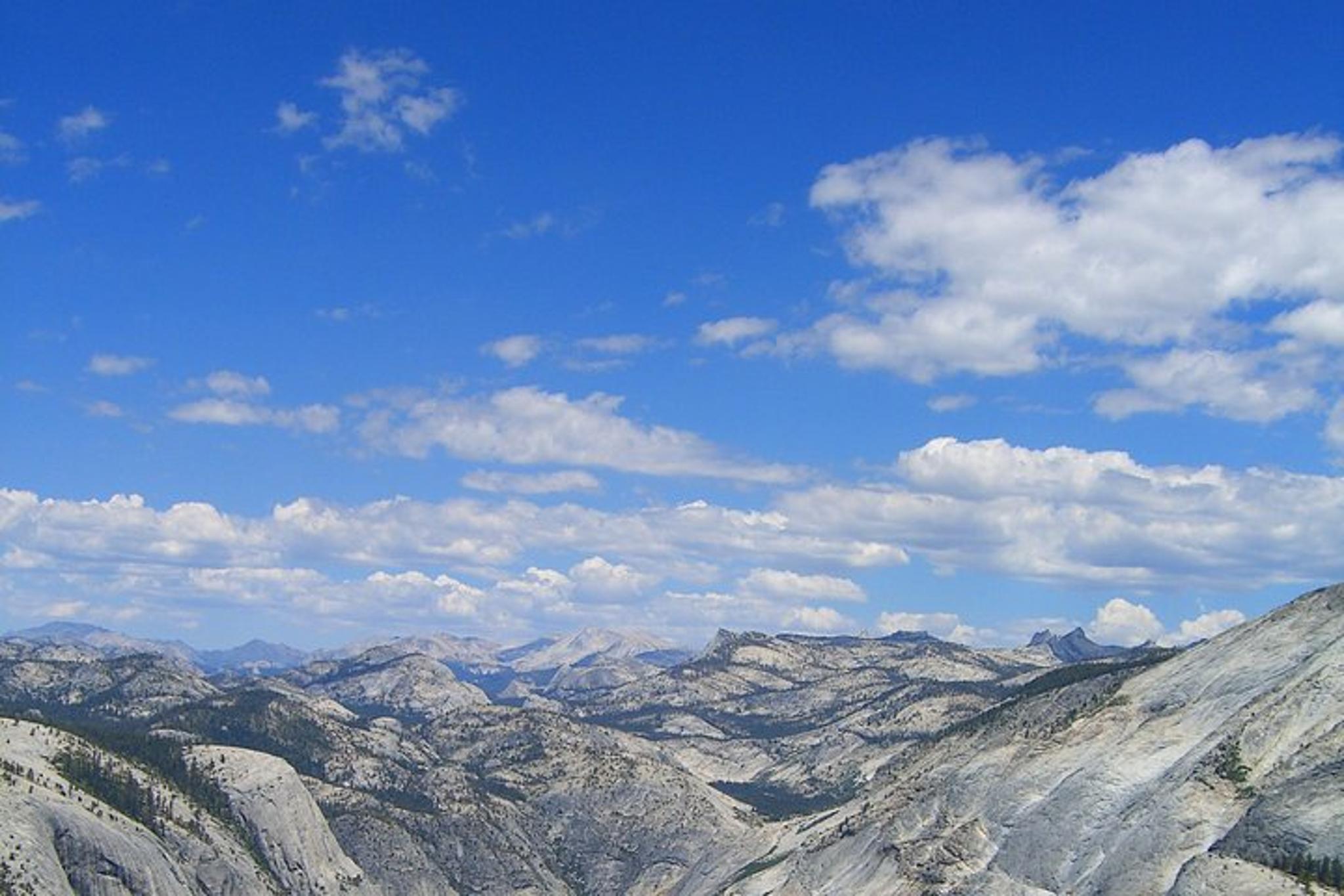 San Francisco National Parks Explorer 7 Days - Image 2