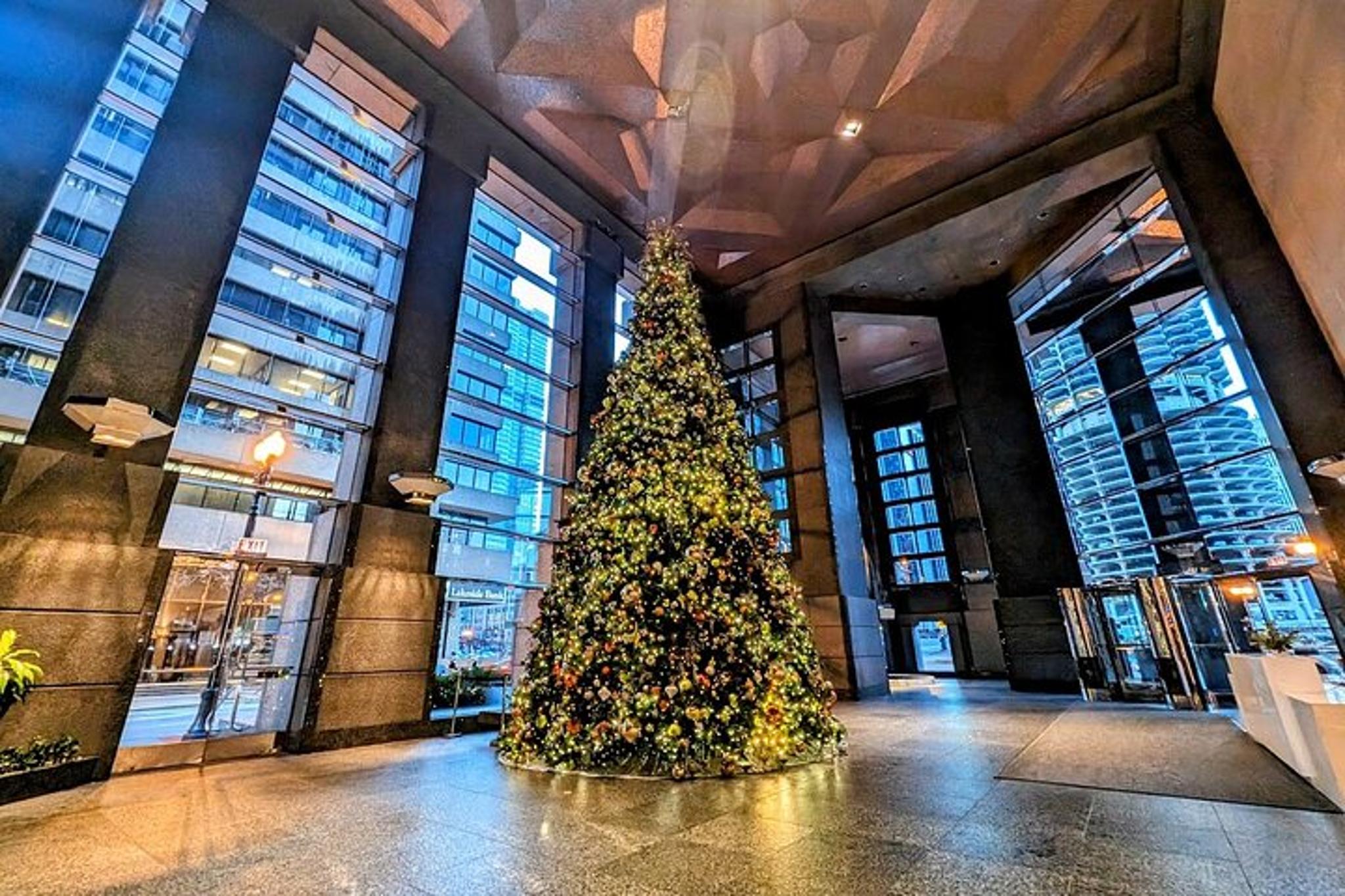 Chicago Christmas Tree Crawl