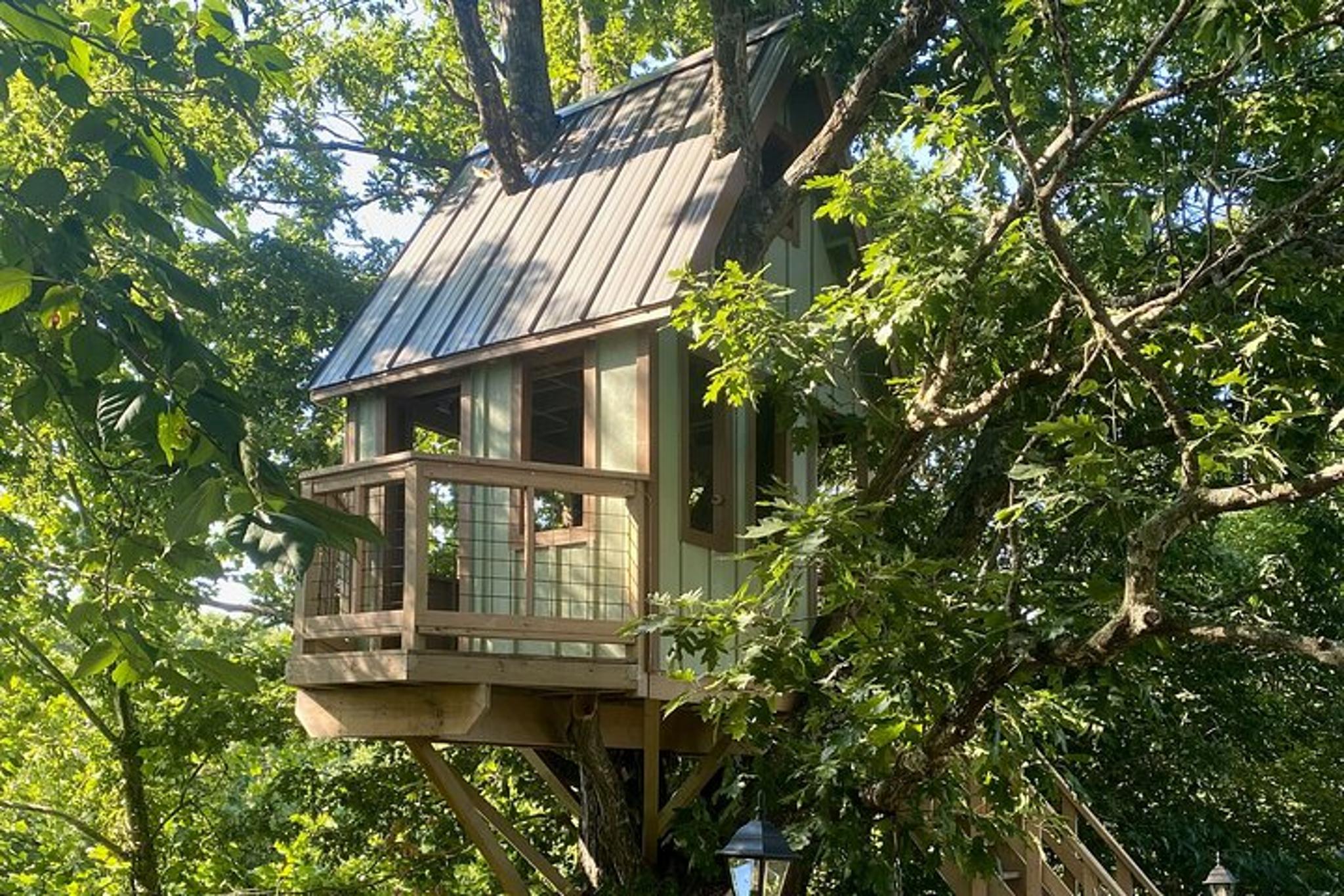 Branson Cart Adventure - Image 4