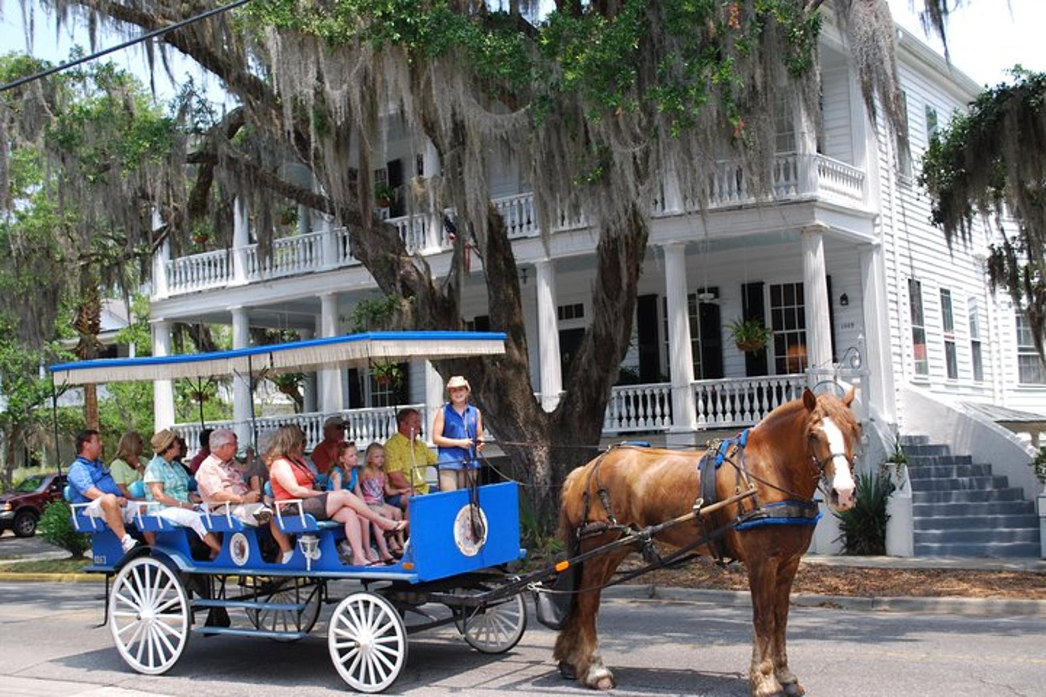 Beaufort Horse Drawn Carriage Tour