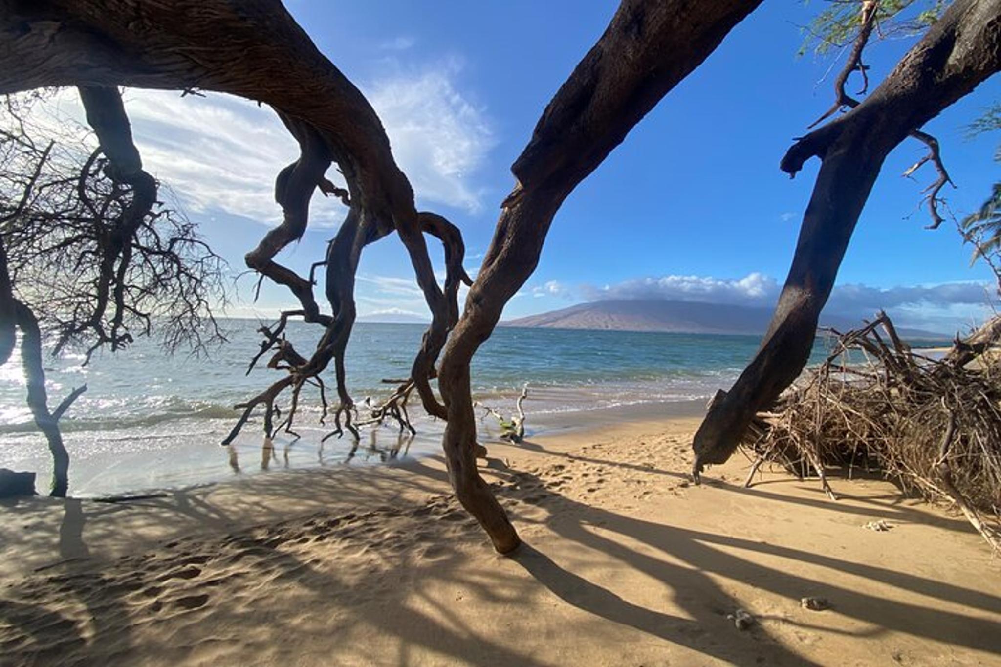 Maui Road to Hana Tour - Image 2
