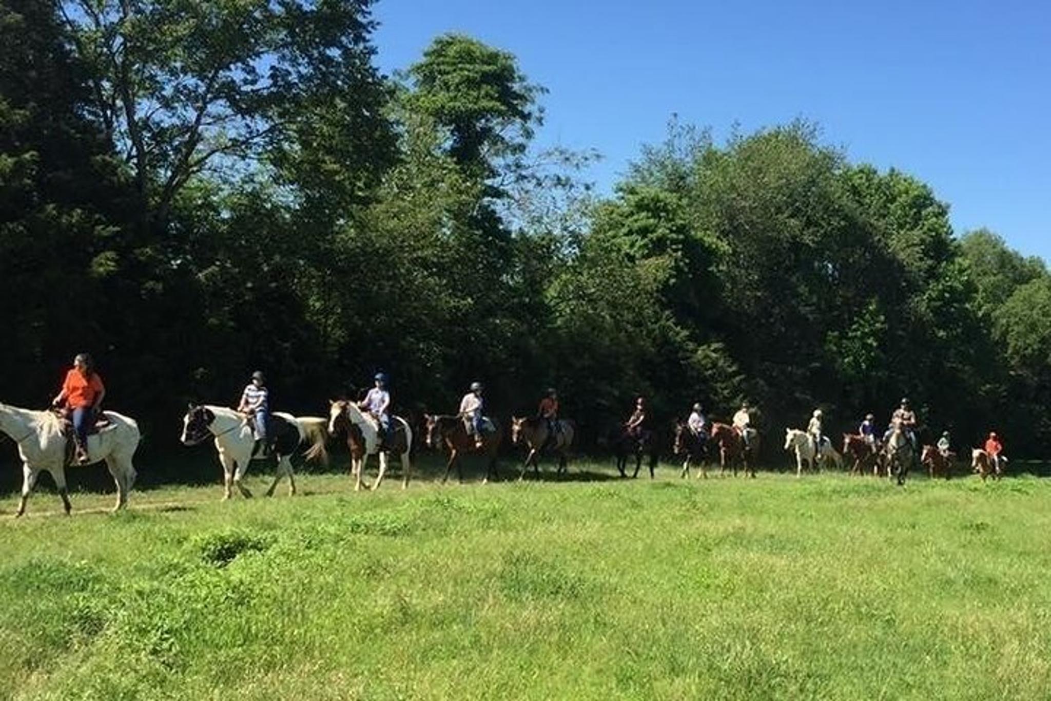 Memphis Horseback Trail Ride 1 Hour - Image 4
