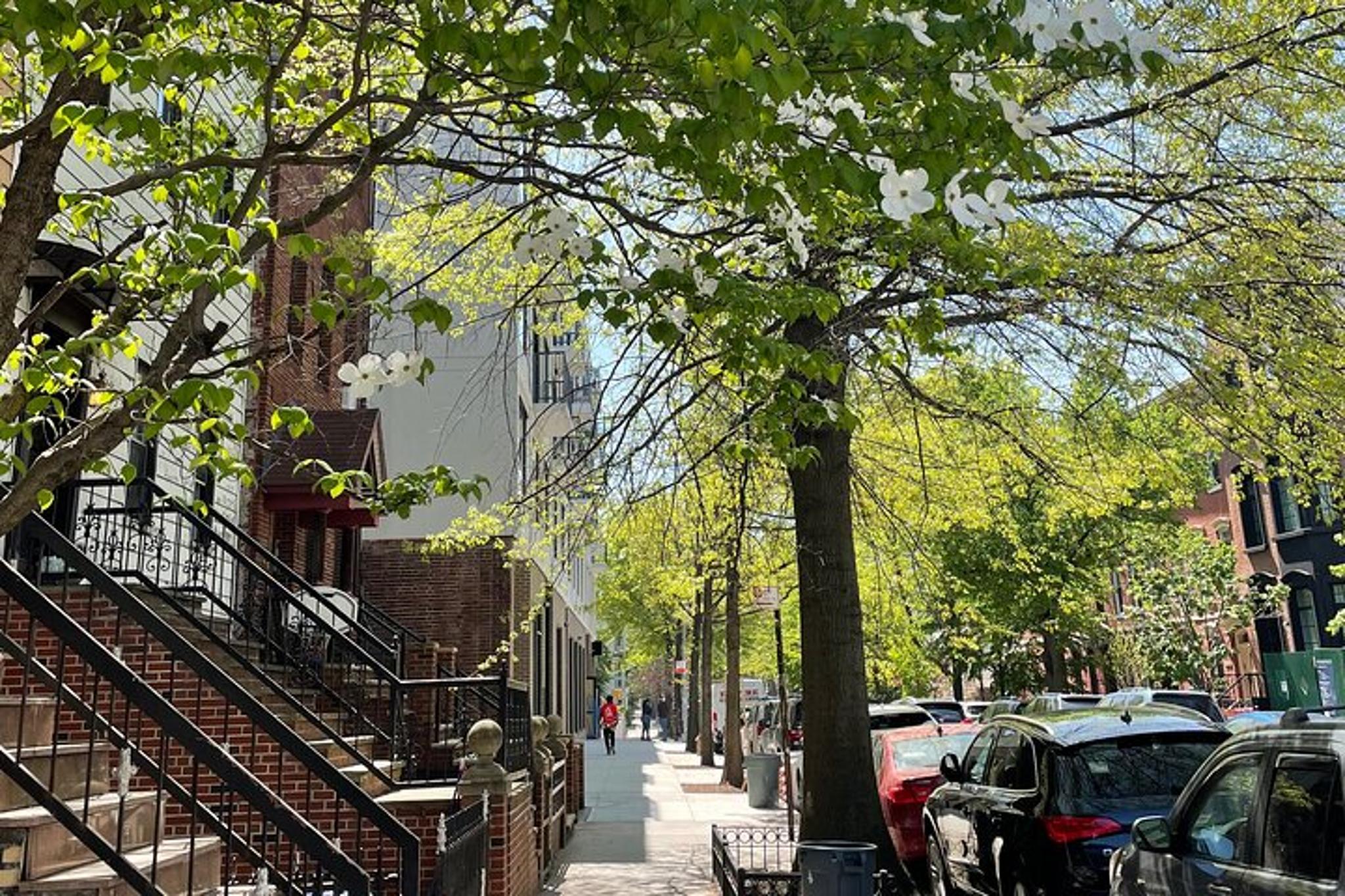 Brooklyn Vintage Shopping Walking Tour - Image 6