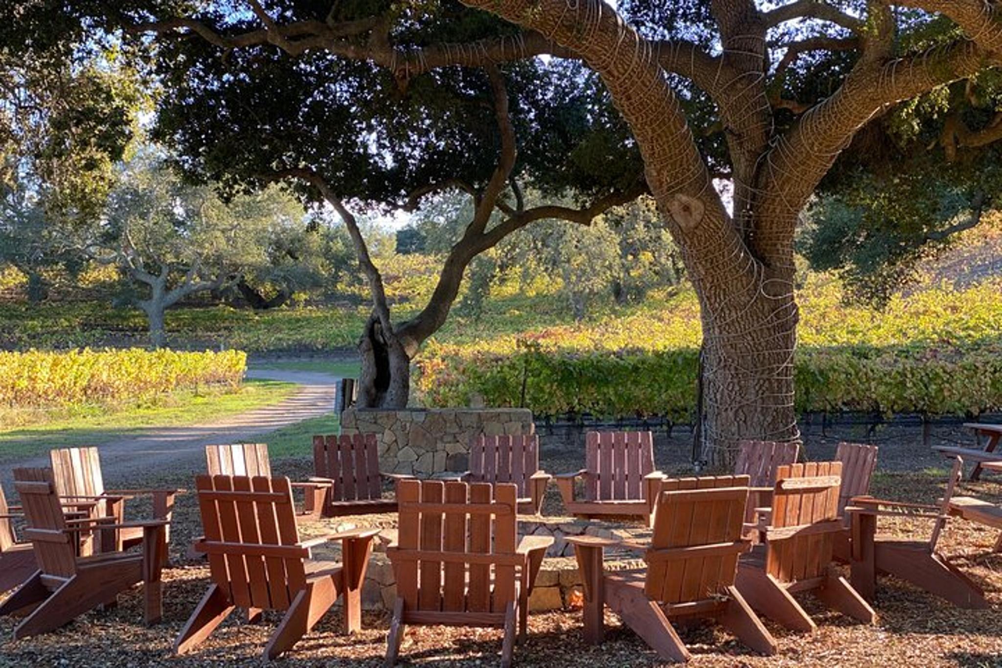 Santa Ynez Valley Wine Tasting Tour - Image 5