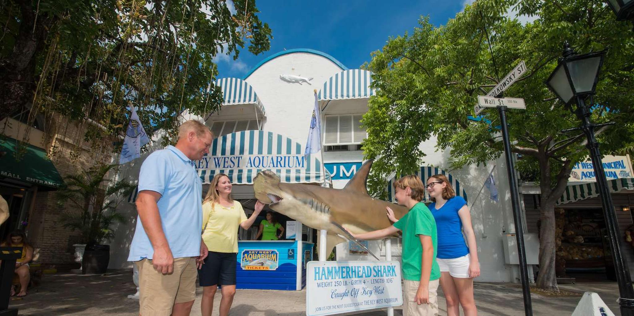 Key West Aquarium Tour - Image 1