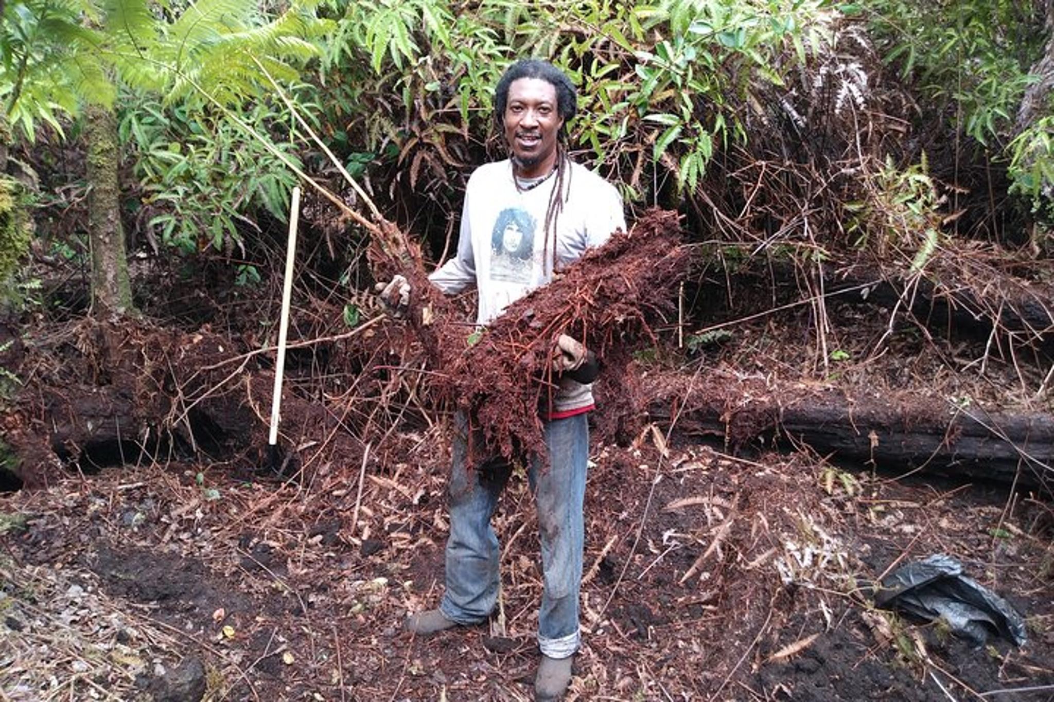 Fern Forest Jungle Tour with Tiki Carving 2 hr - Image 6