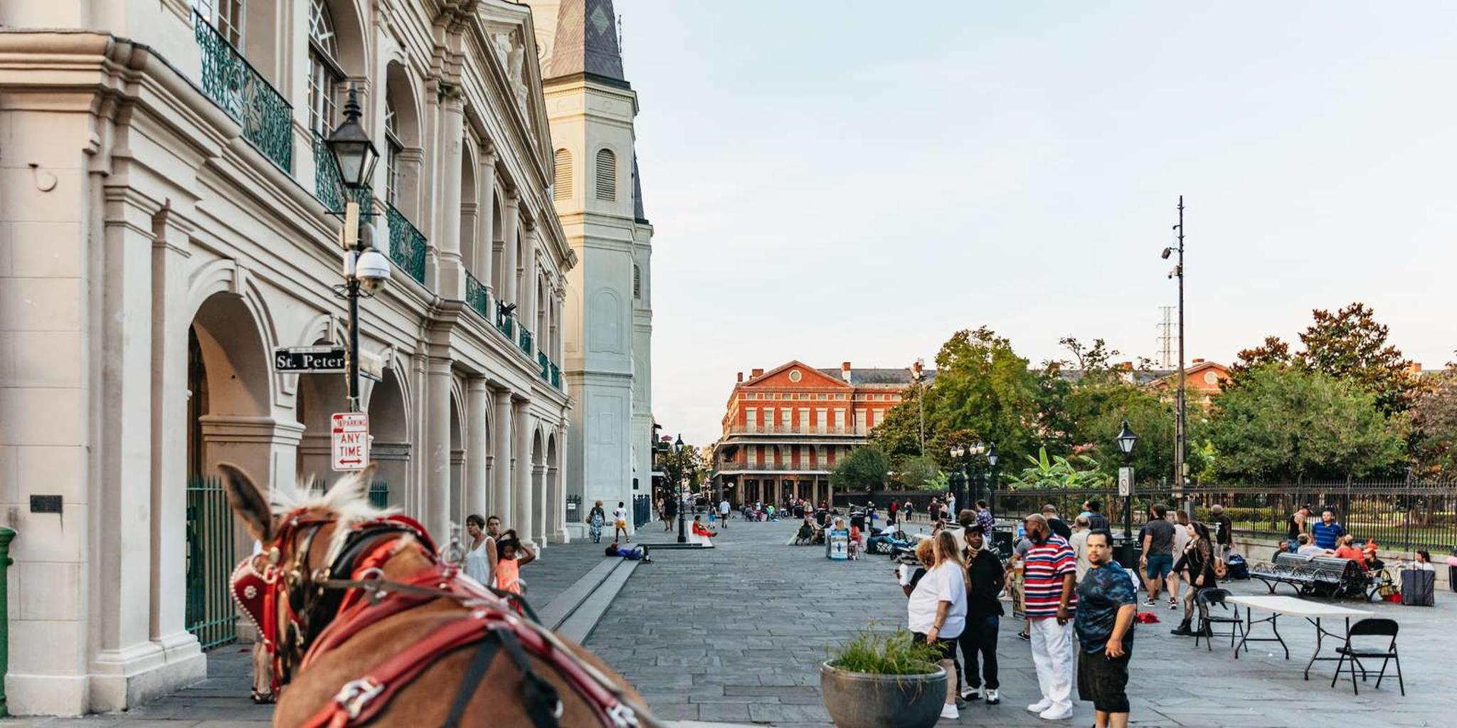 New Orleans French Quarter Carriage Ride - Image 4