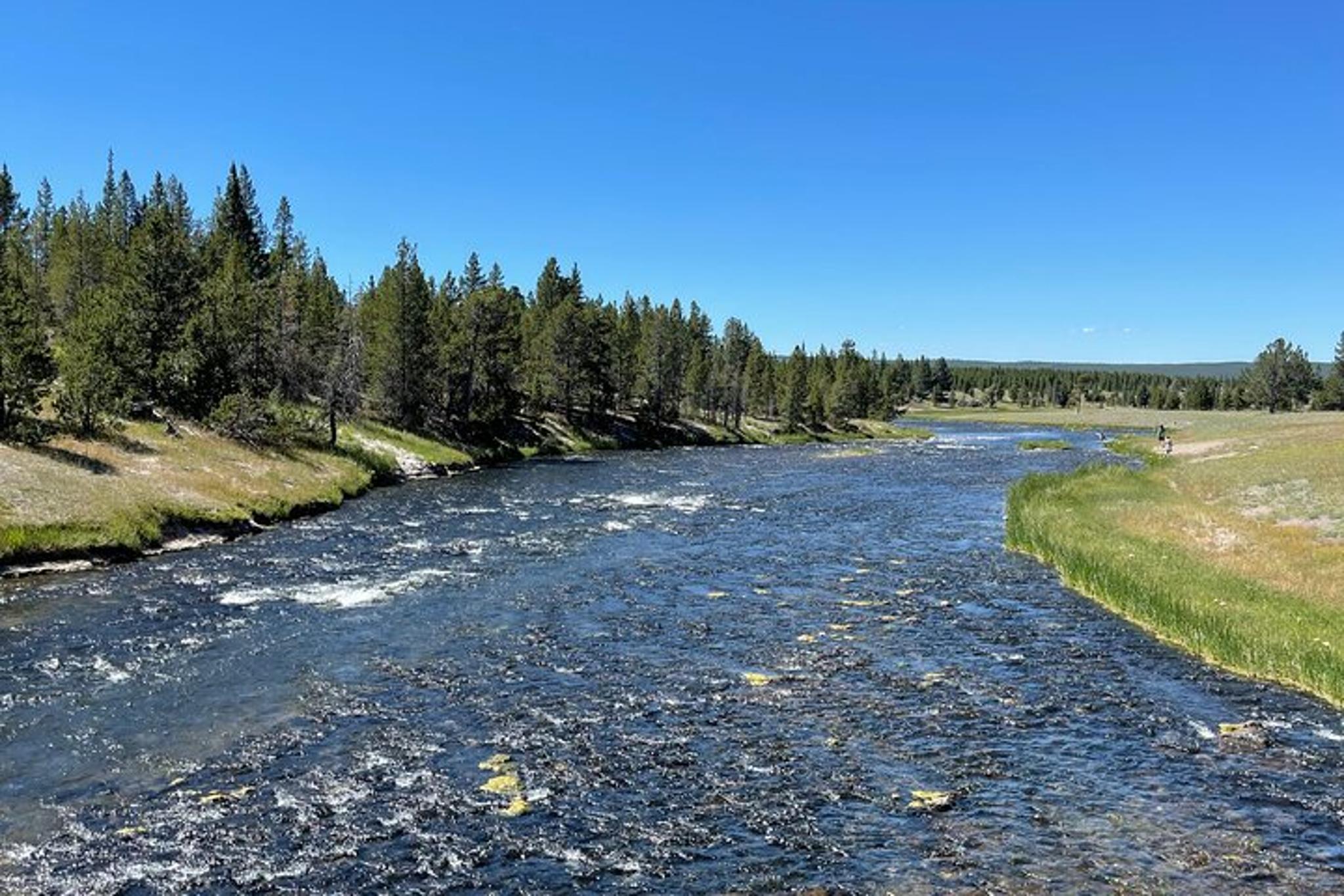 Yellowstone Bus Tour - Image 1