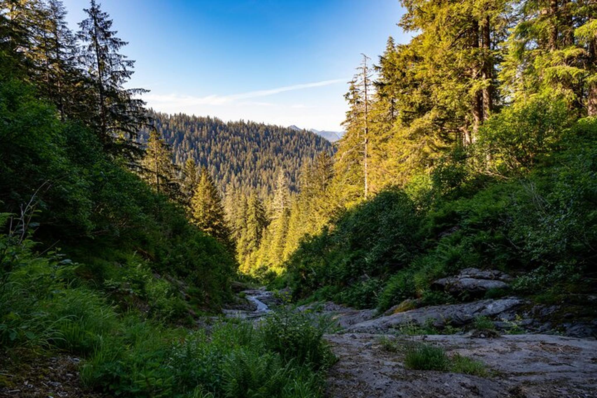 Ketchikan Mountain Lake Trek - Image 6