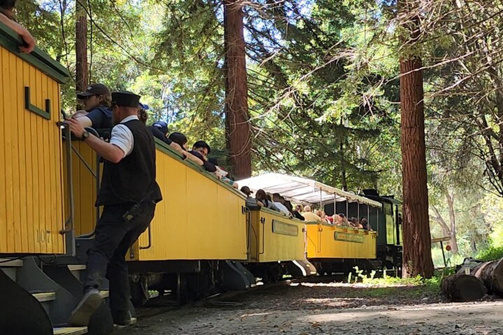 San Francisco Train Ride Adventure through Redwoods - Image 5