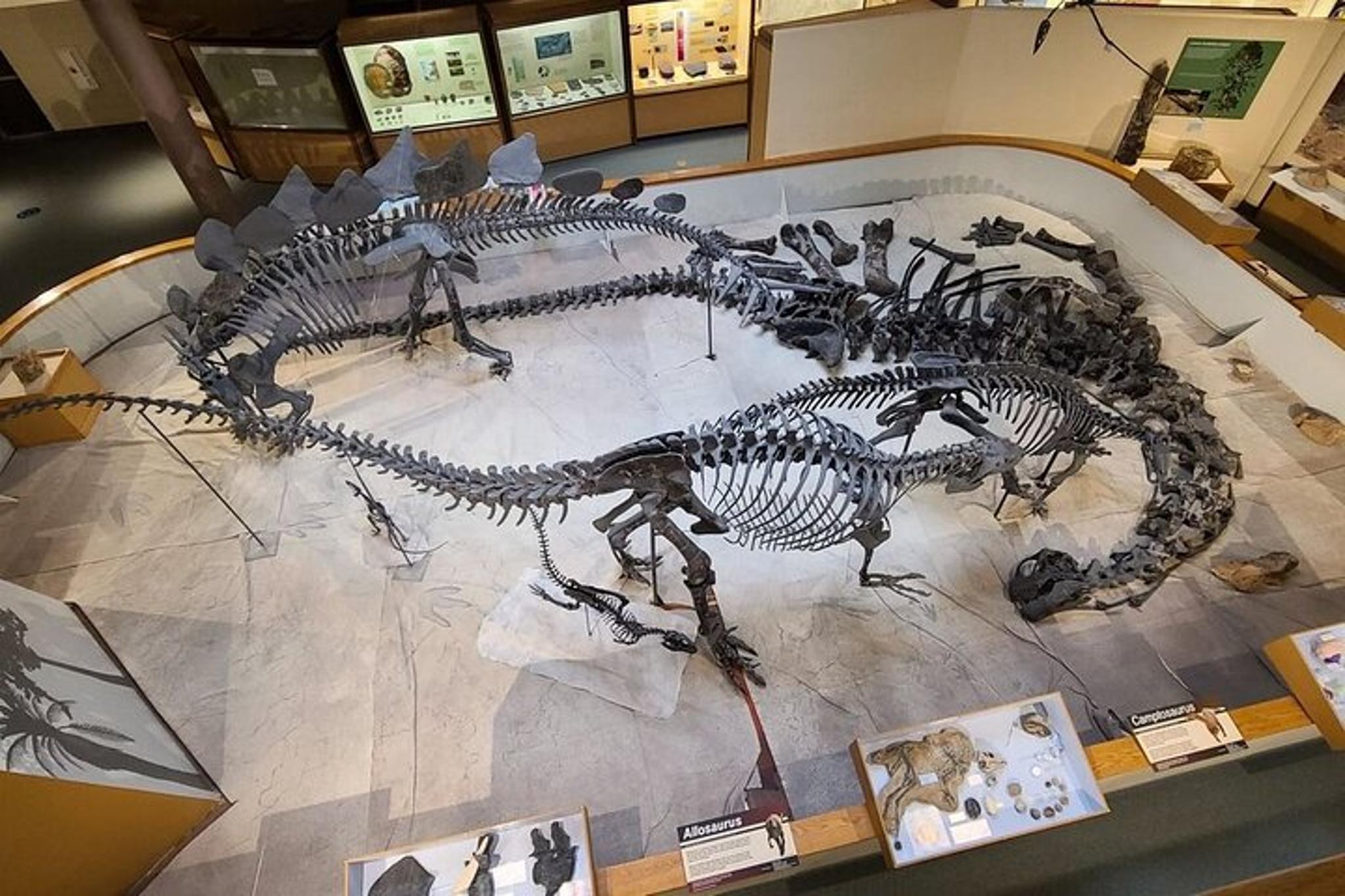 Utah & Arizona National Parks Small Group Tour - Image 5