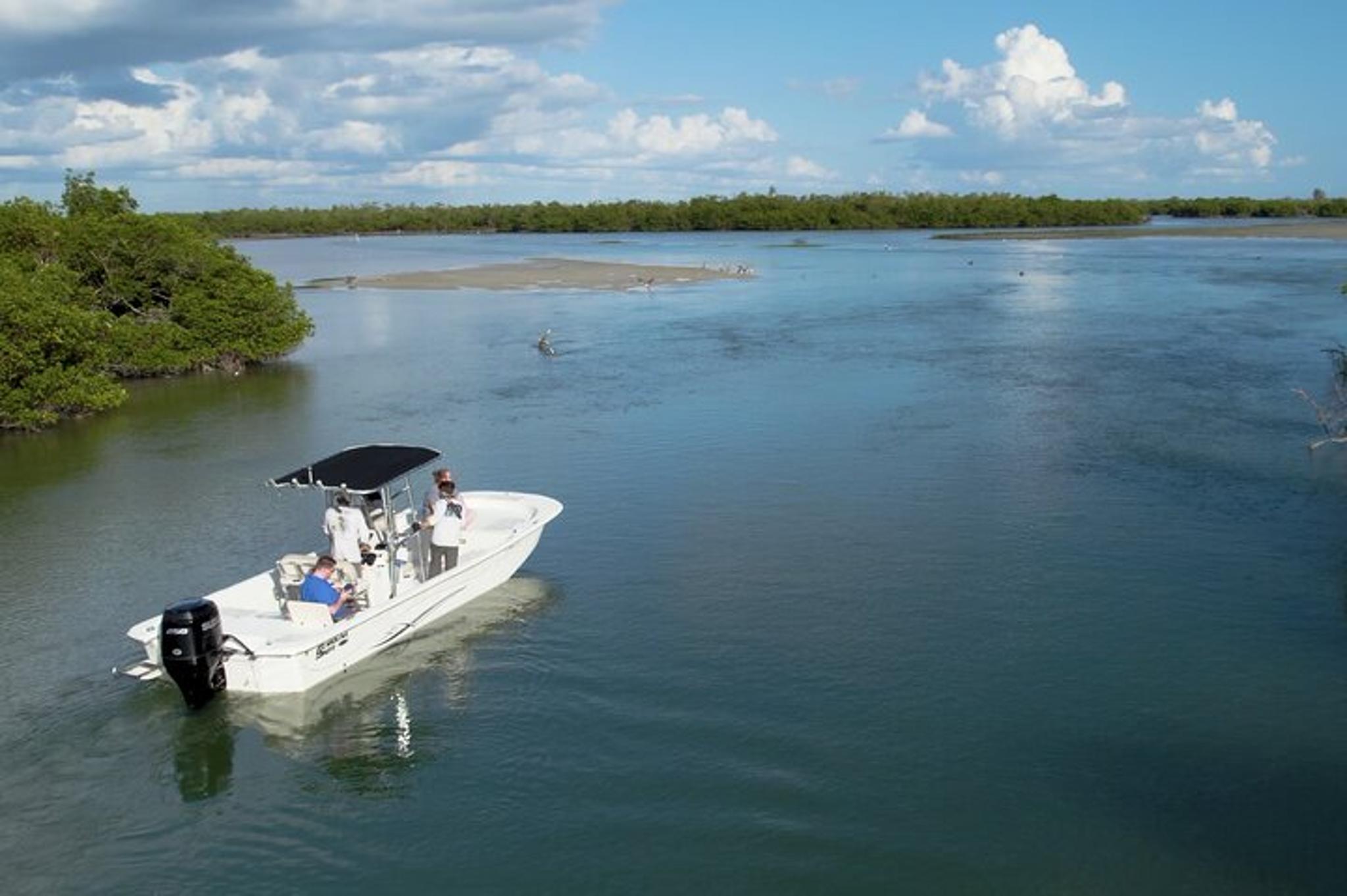Marco Island Sightseeing & Dolphin Tour - Image 3