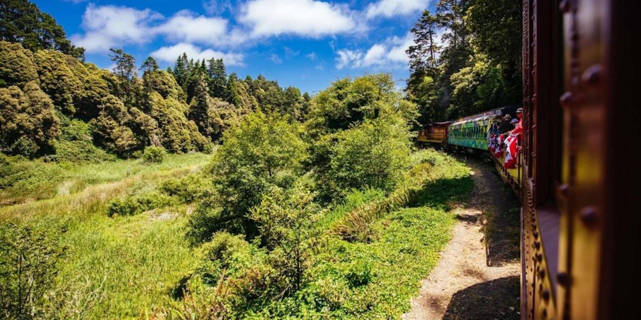 Fort Bragg Pudding Creek Train Ride - Image 2