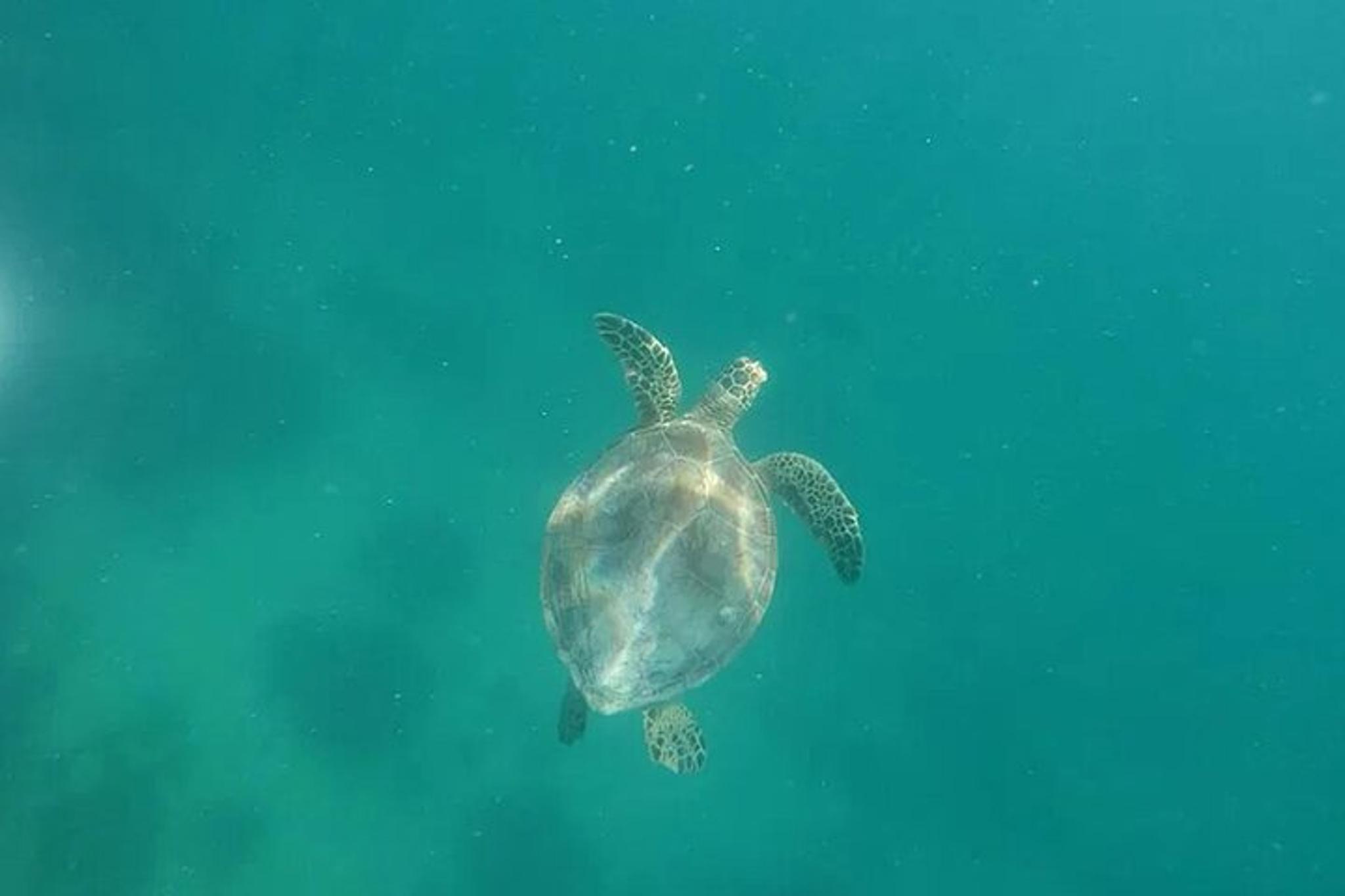 Key West Tiki Boat Eco Cruise - Image 6