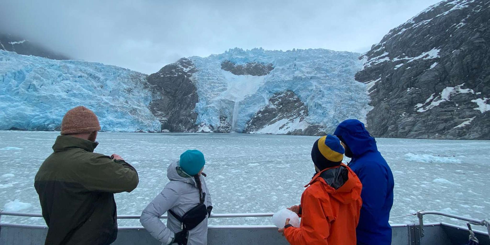 Seward Fjord Glacier & Wildlife Tour 8 hr