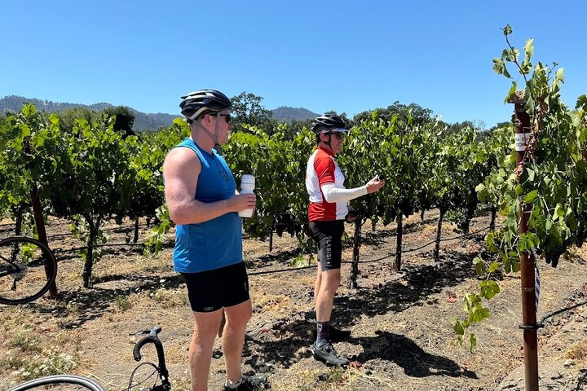 Napa Valley Cycling Tour with a Winemaker - Image 3