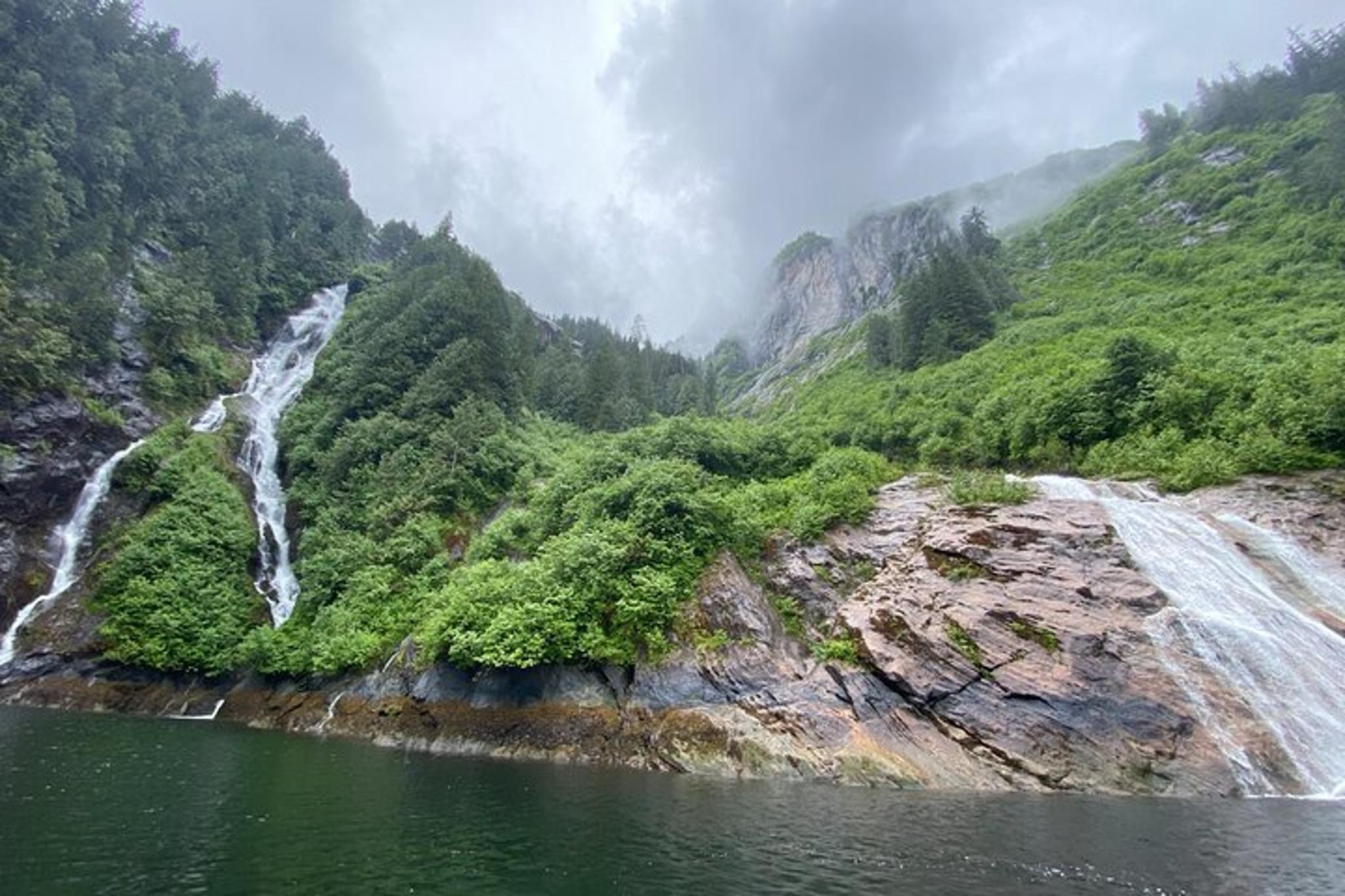 Ketchikan Boat Tour of Misty Fjords - Image 6
