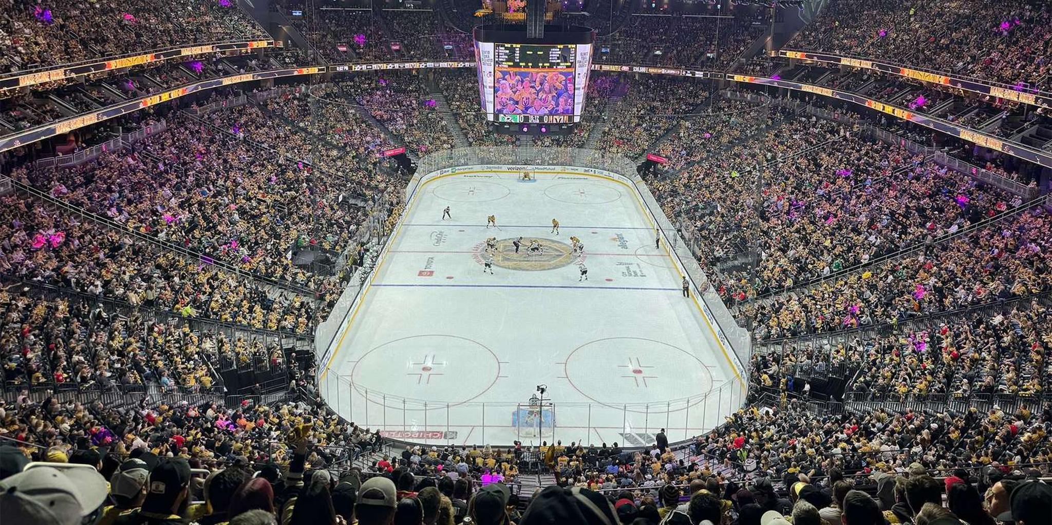 Las Vegas Ice Hockey Game Ticket