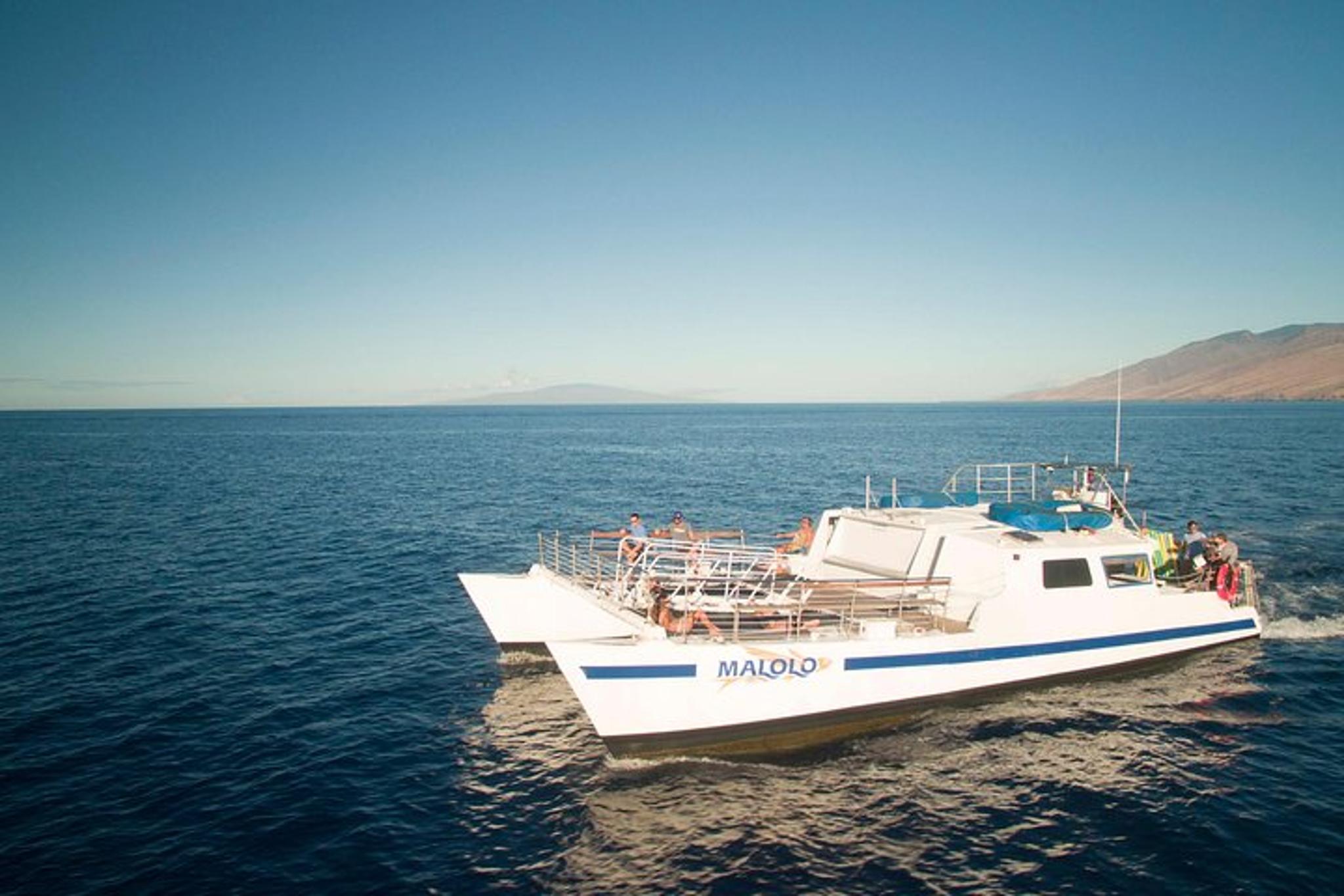 Ma'alaea Whale Watching Cruise - Image 3
