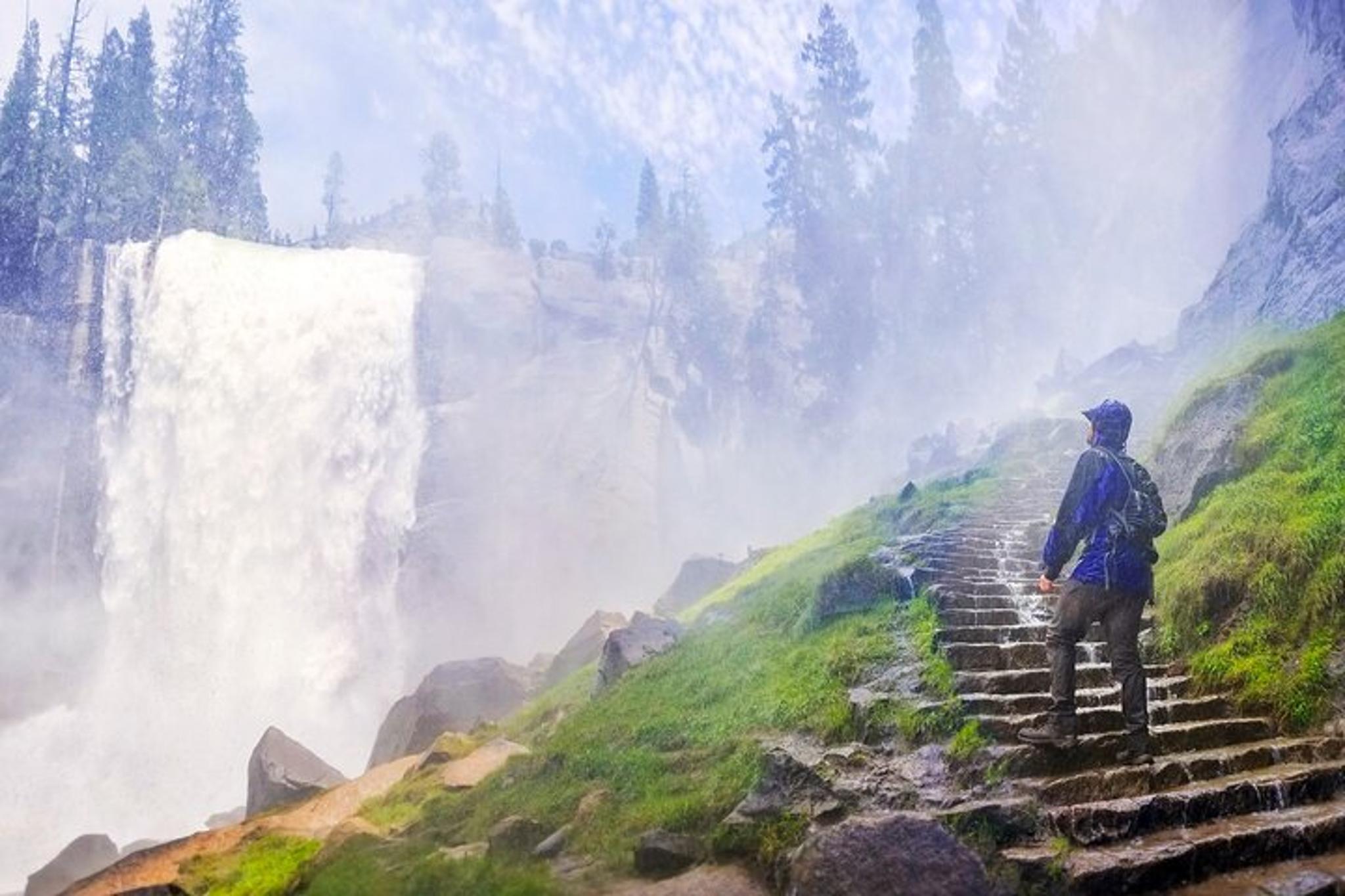 San Francisco Yosemite Camping Adventure 3 Days - Image 3