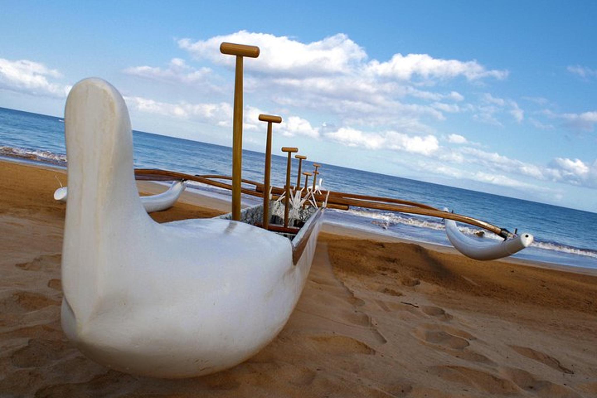 Maui Outrigger Canoe and Turtle Tour - Image 2