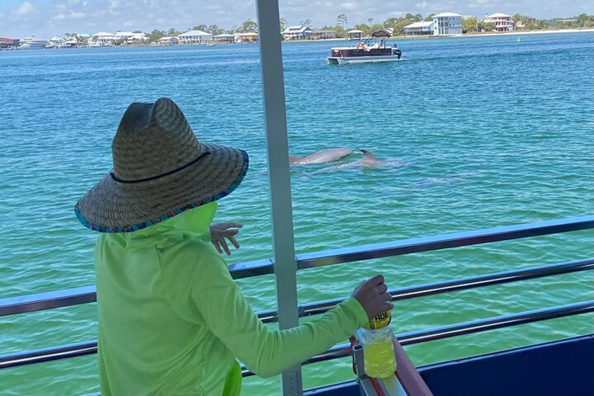Orange Beach Dolphin Watching Tour