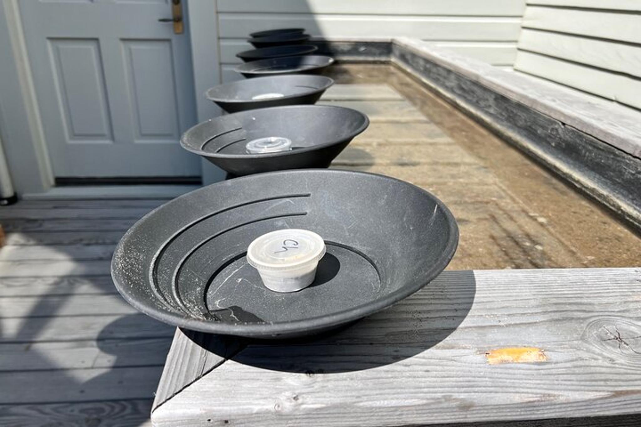 Skagway Gold Panning Adventure - Image 3