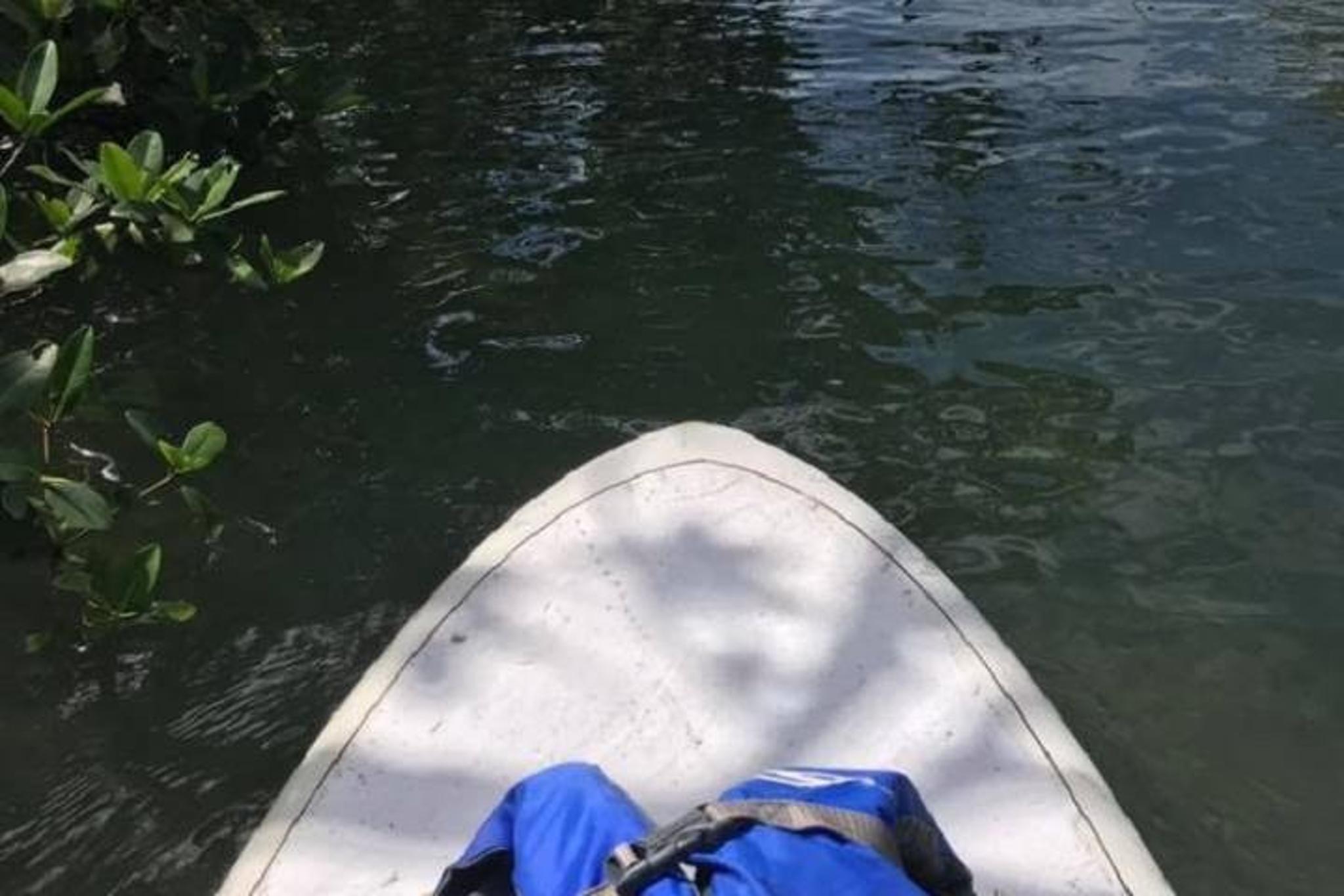 Key West Stand Up Paddleboard Rental 2 hr - Image 6