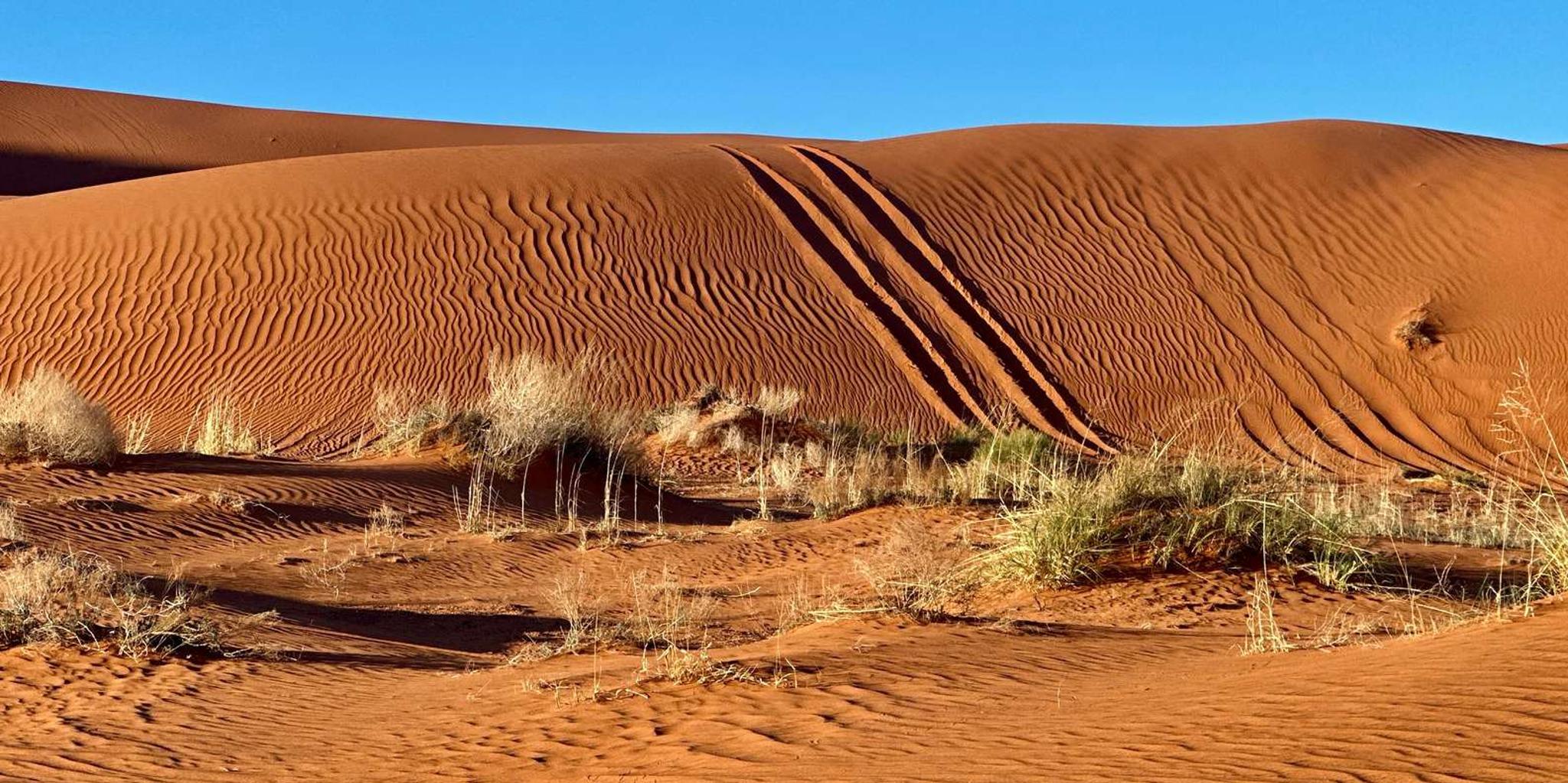 St. George Sand Mountain Sunset Jeep Tour - Image 5