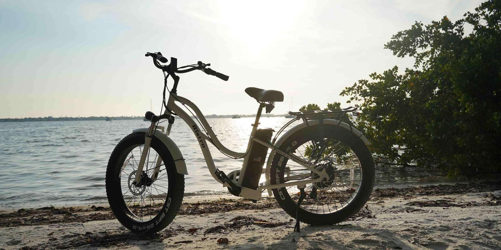 Sarasota E-Bike Rental - Image 3