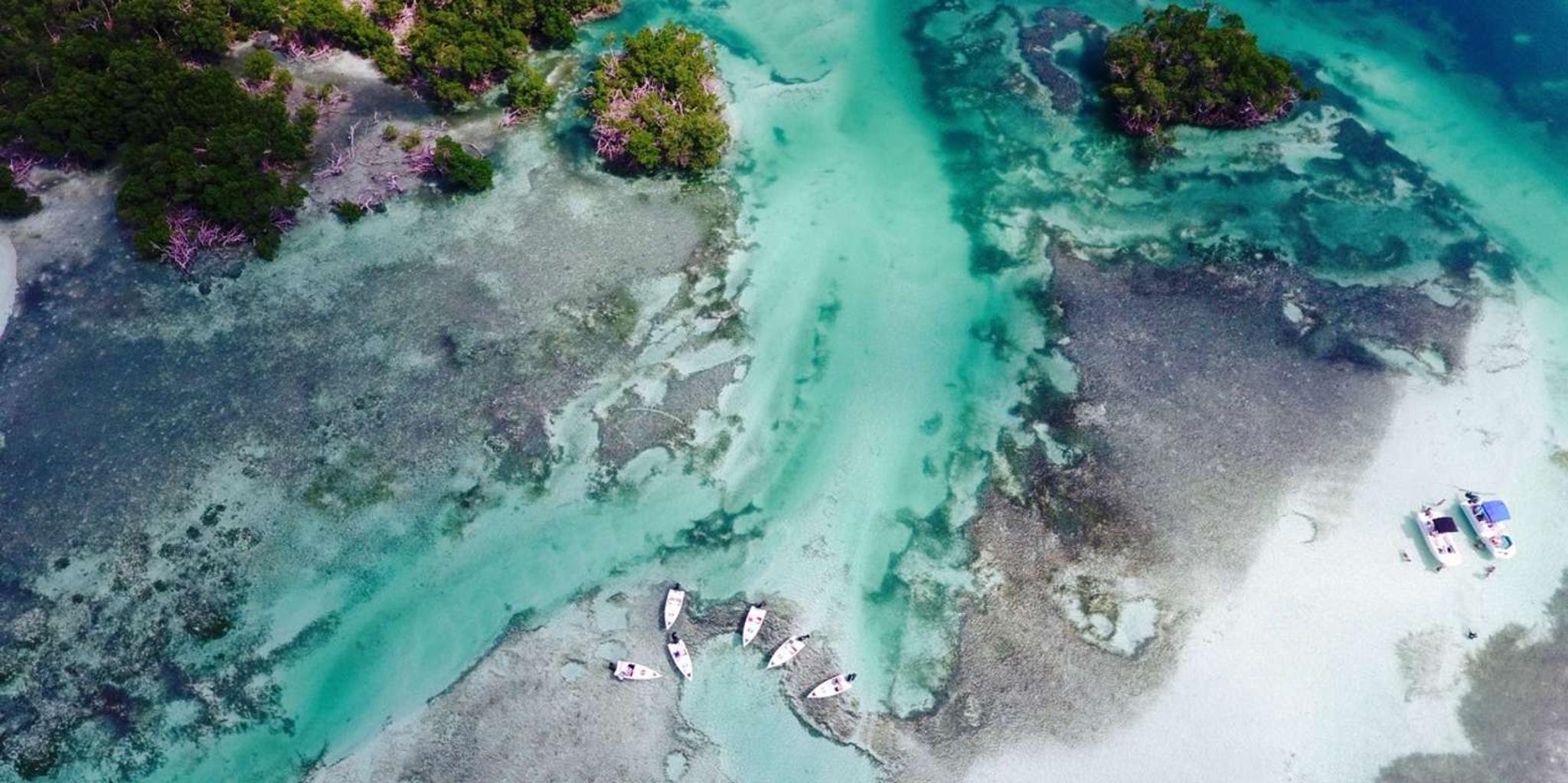 Key West Eco Safari Sandbar Tour with Snorkeling - Image 2