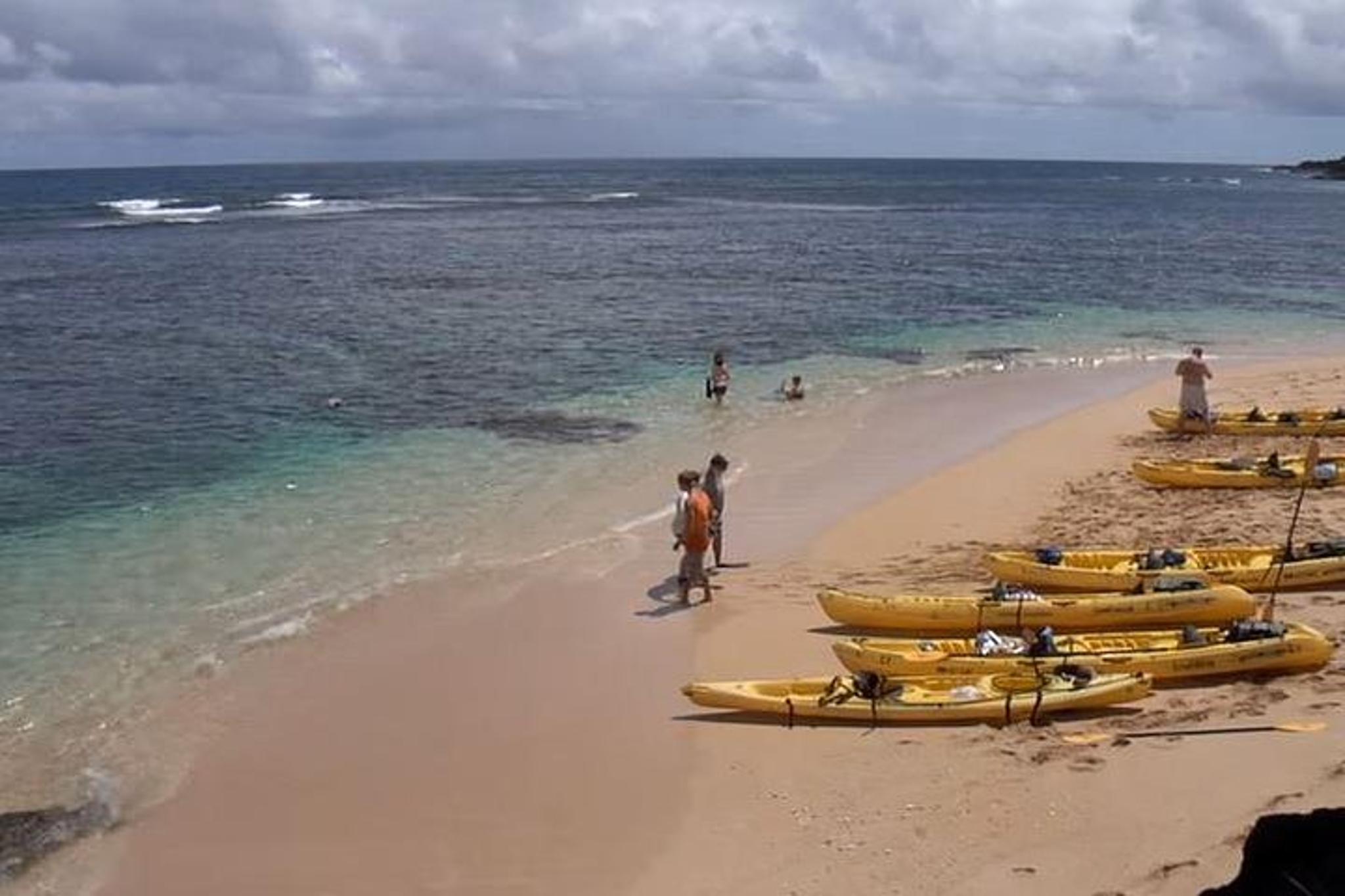 Kauai River Kayak and Bay Snorkel Tour with Lunch - Image 6