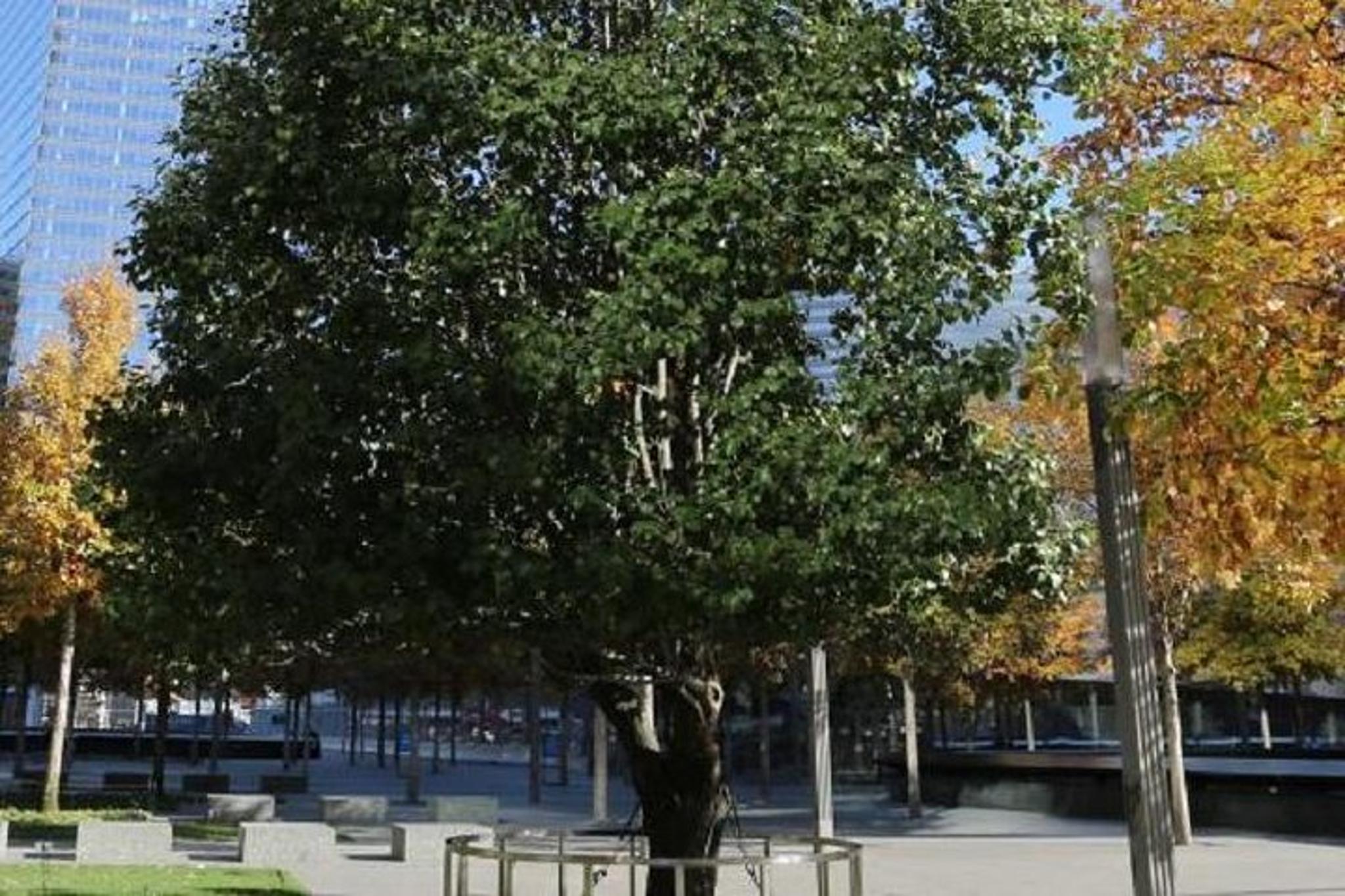 New York 9/11 Memorial Museum Admission - Image 3