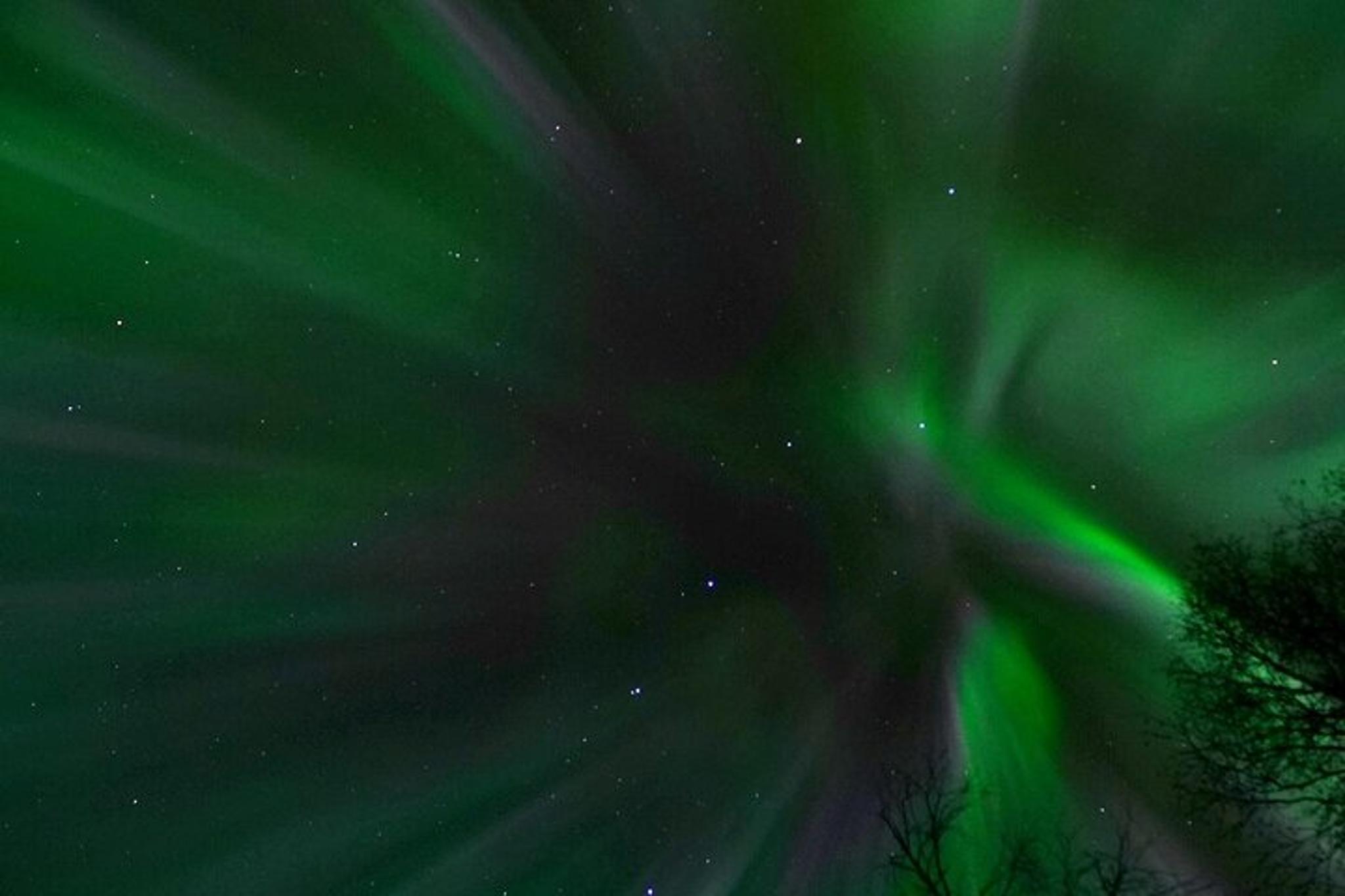 Fairbanks Northern Lights Photography Tour - Image 4