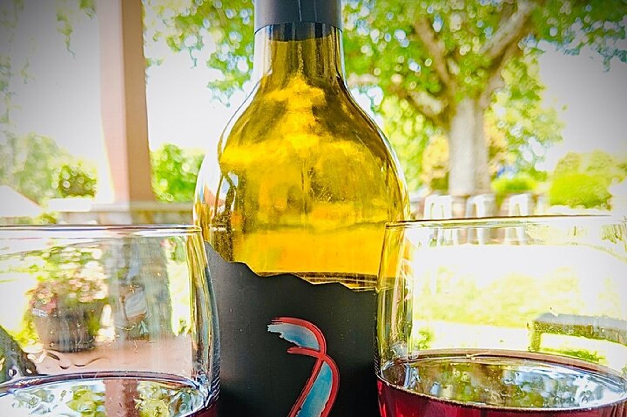 Asheville Wine Tour with Dining in Black Mountain - Image 3