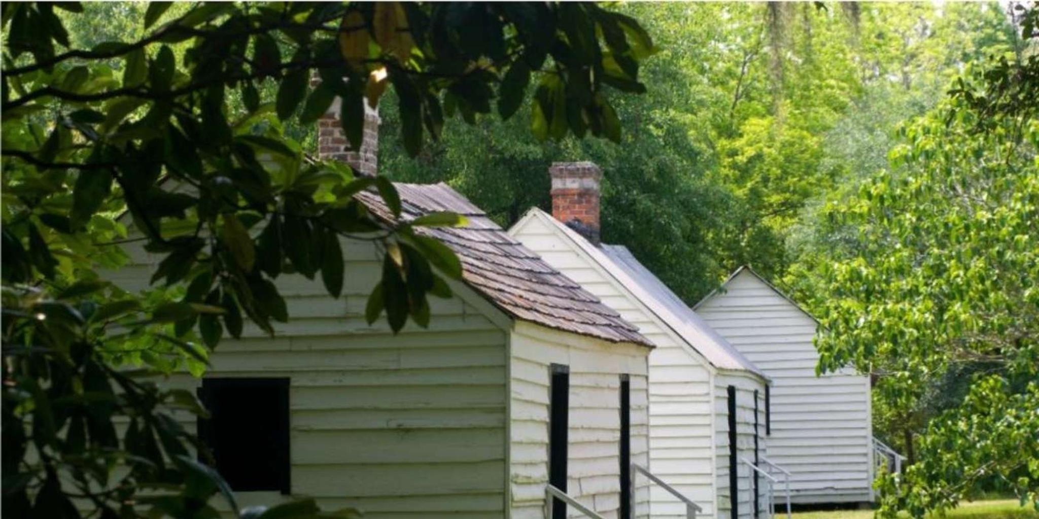 Charleston Magnolia Plantation & Gardens Tour - Image 6