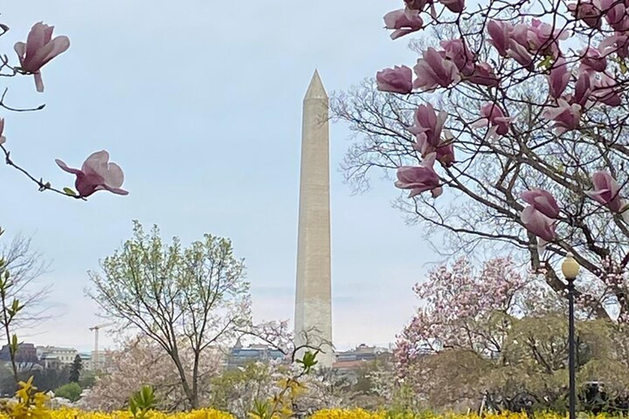 Washington DC LGBTQ History Walking Tour - Image 5