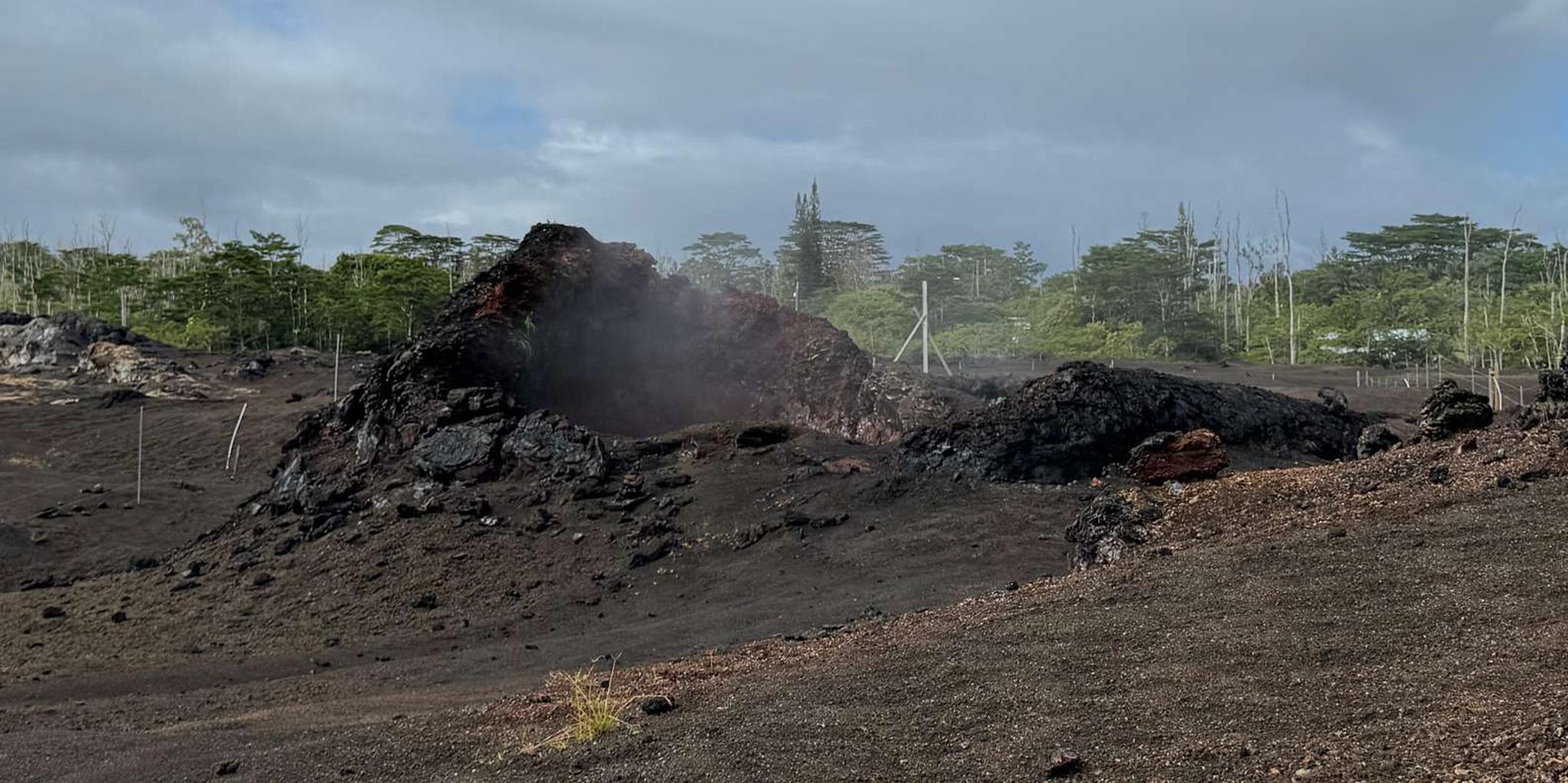 Hilo Kilauea Fissure 8 Hiking Tour - Image 3