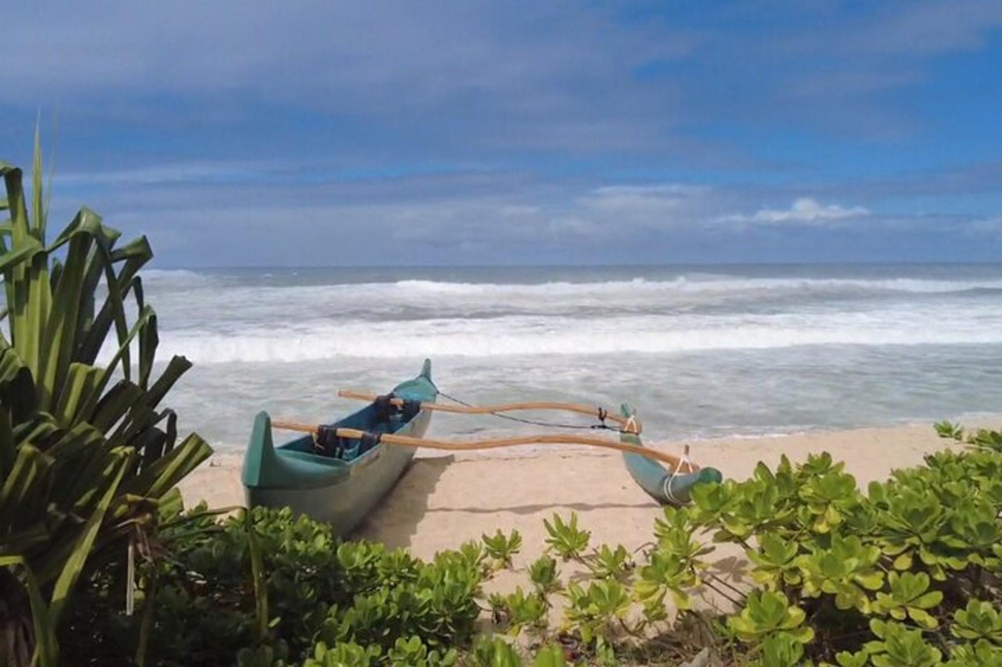 Oahu North Shore Small Group Tour - Image 3