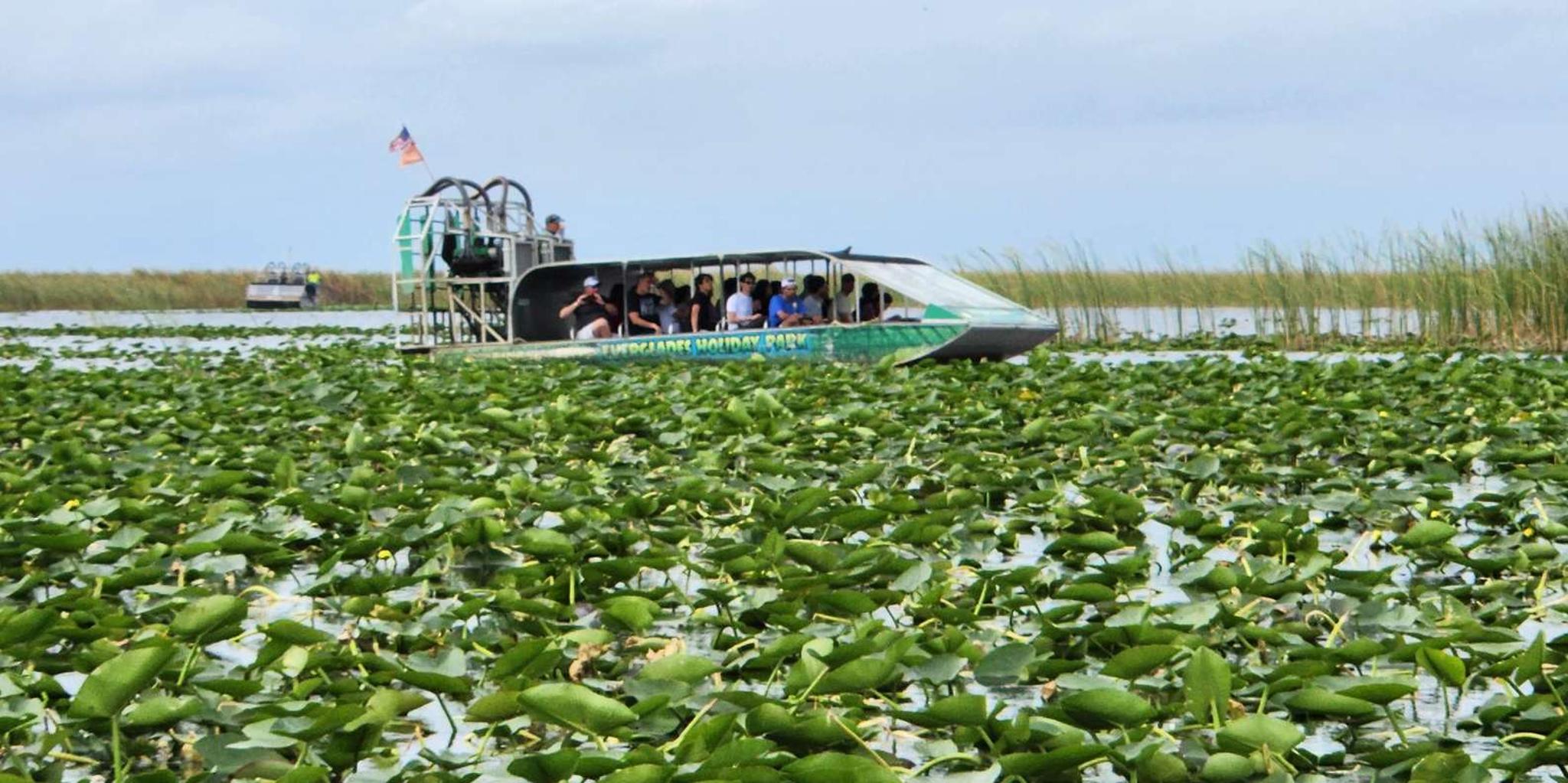 Miami Everglades Airboat Tour with Bus Transfer - Image 6