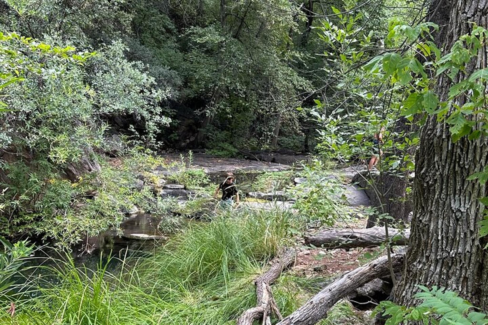 Chrysotile Off-Road and Hiking Adventure - Image 5