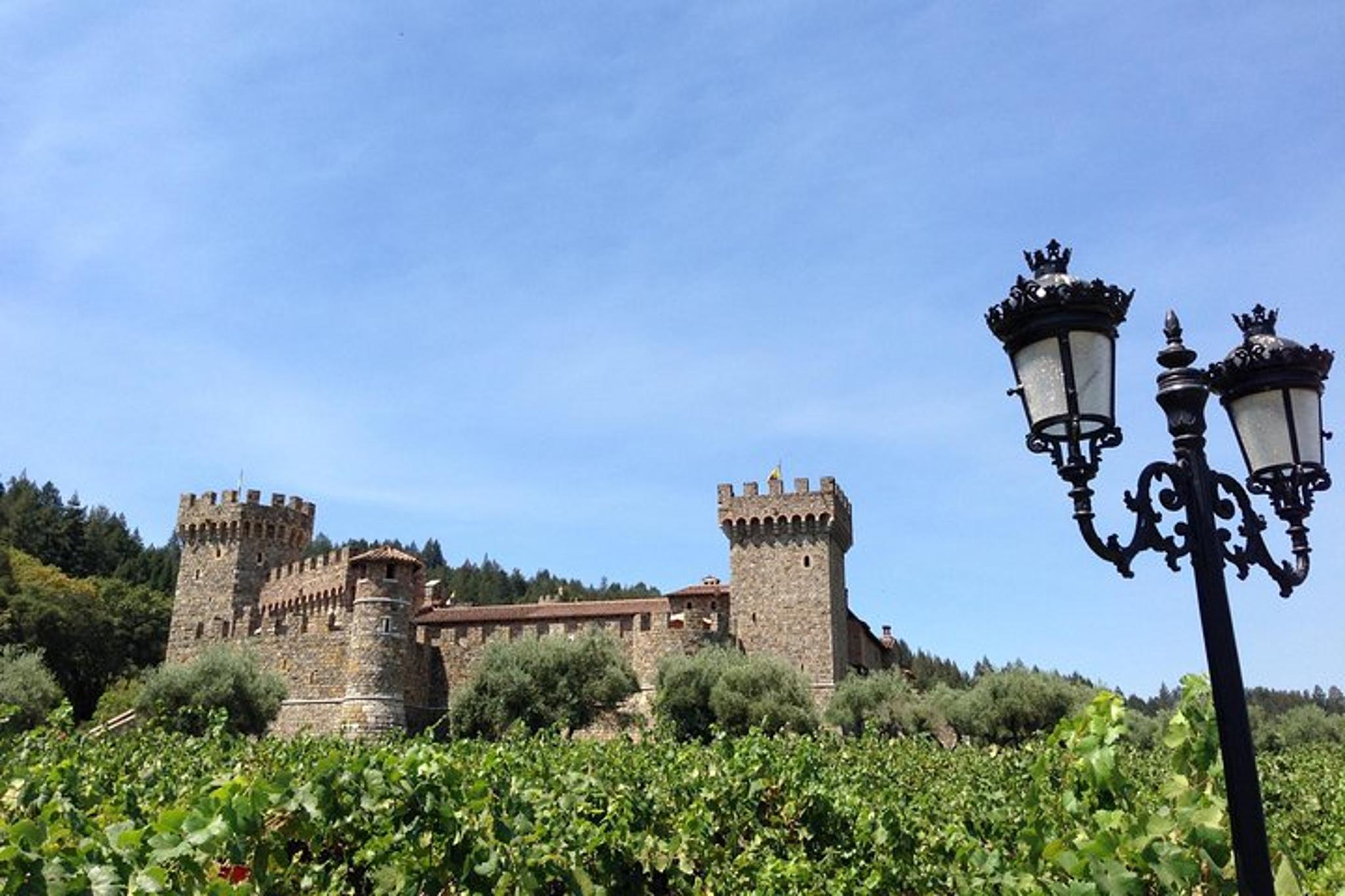 Napa Valley Hot Air Balloon Ride and Wine Tour - Image 5