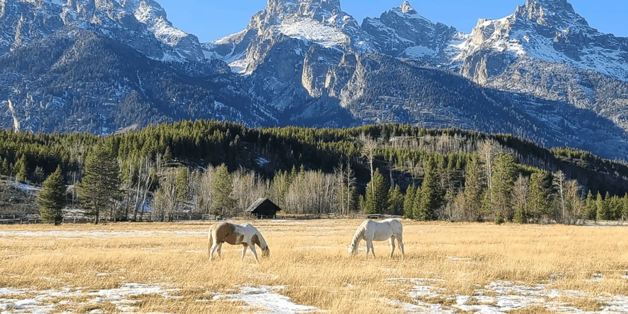 Bozeman Yellowstone and Grand Teton National Park Tour 5 Days - Image 1