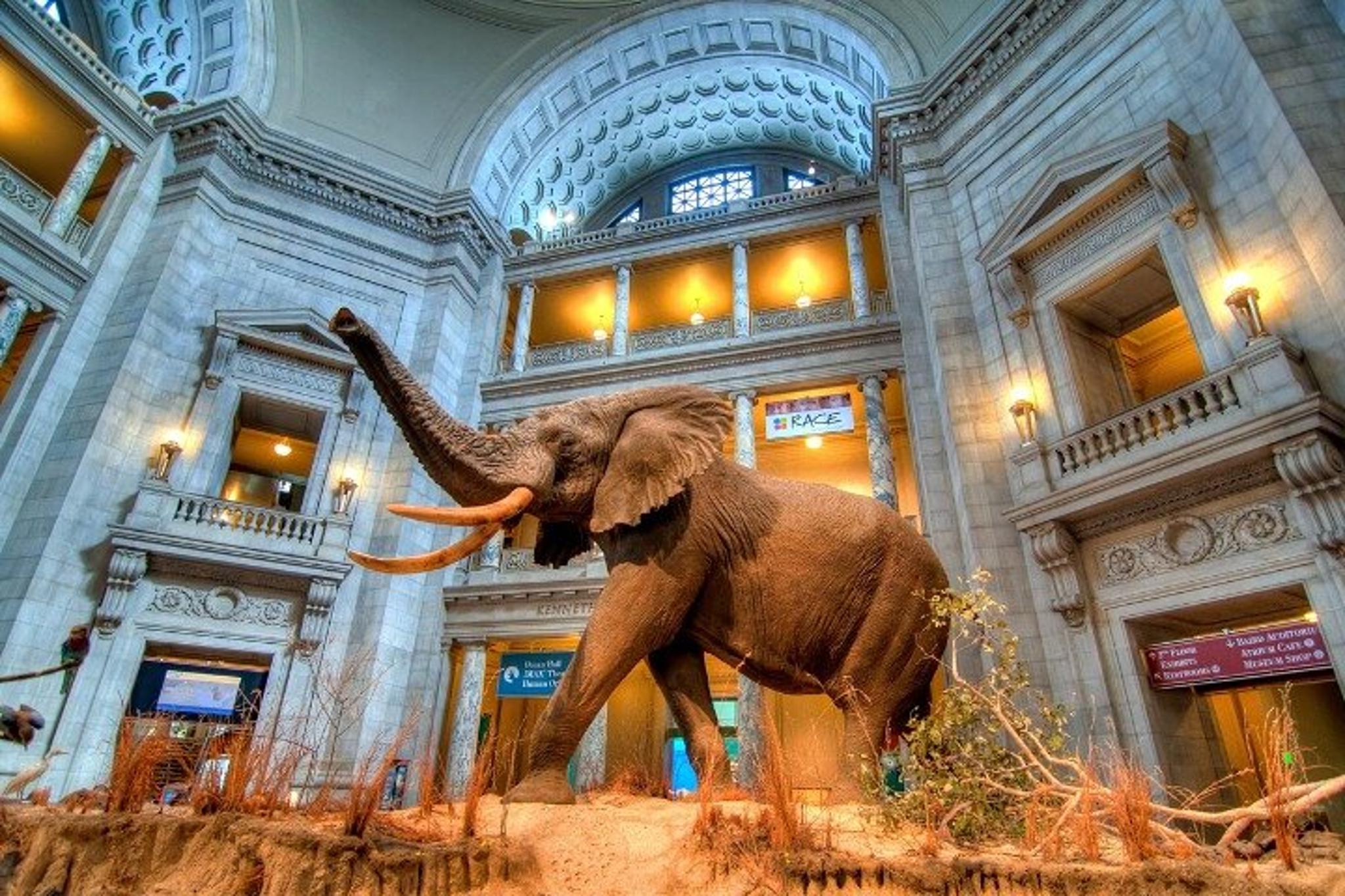 Washington D.C. Museum Tour