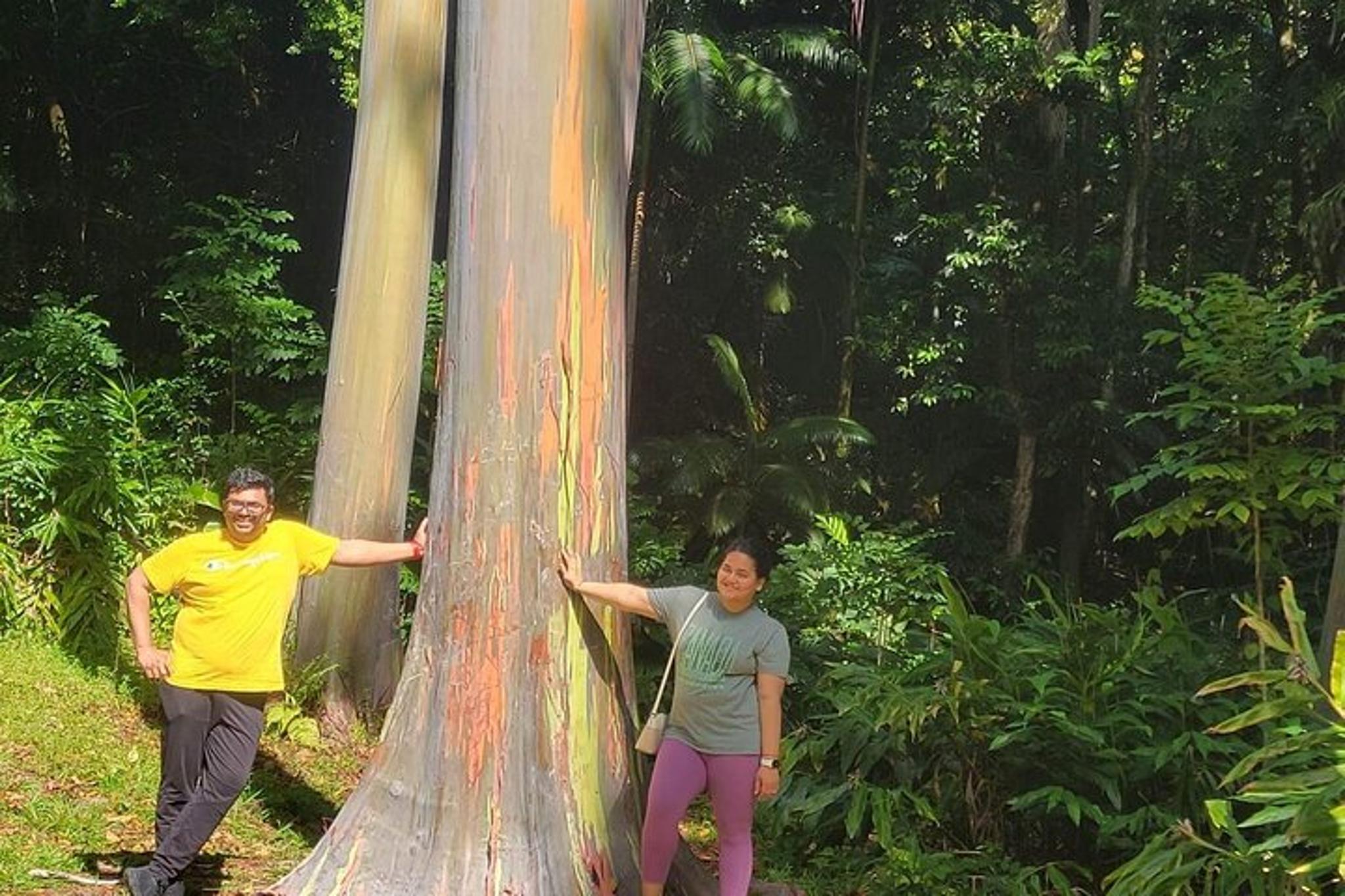 Maui Road to Hana Tour with Guide - Image 6