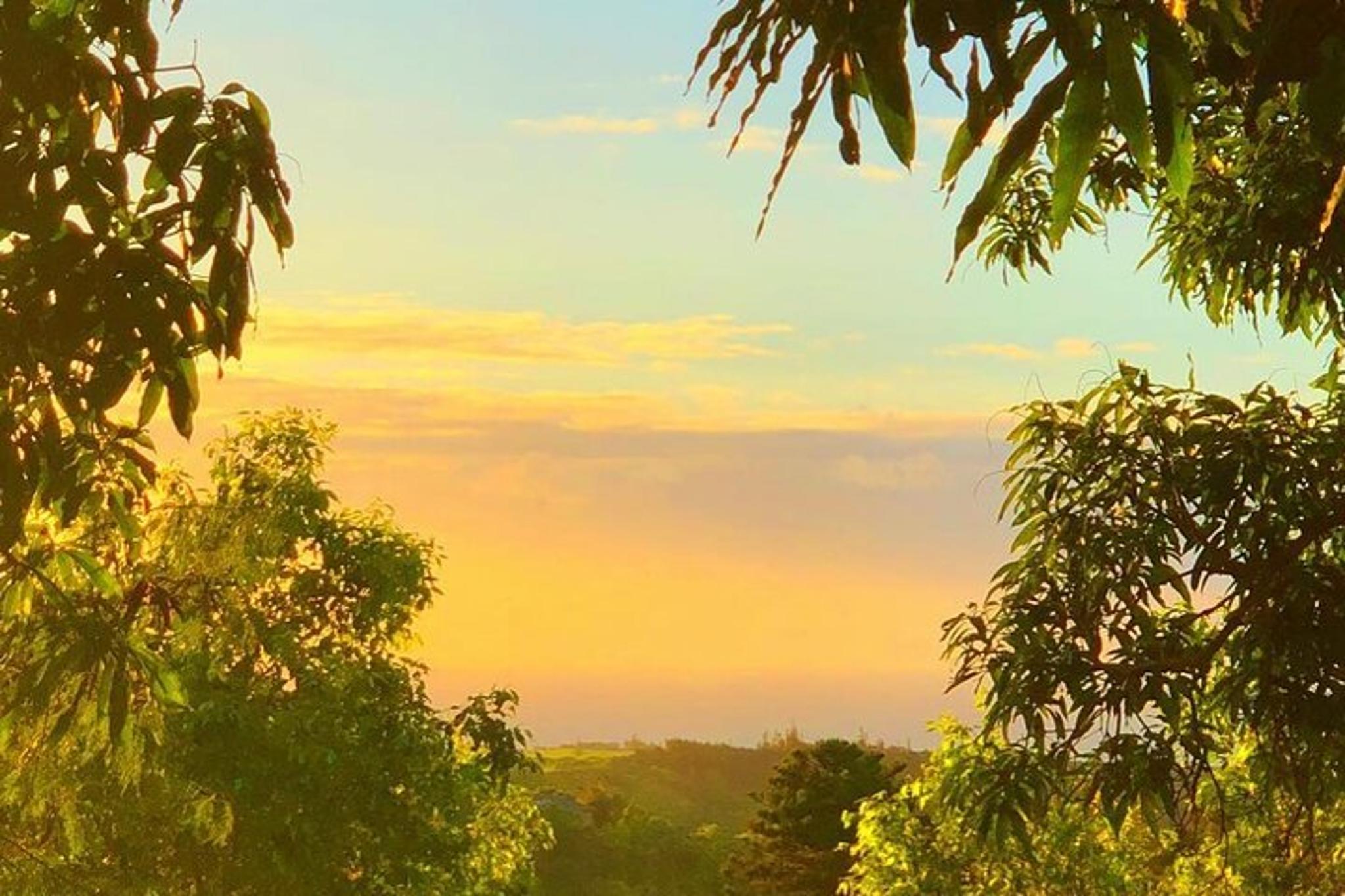 Maui Waterfall Adventure with GoPro Footage - Image 6