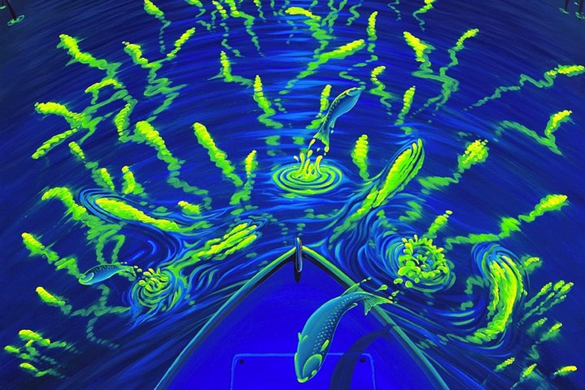 Cocoa Beach Bioluminescent Kayak Tour - Image 3