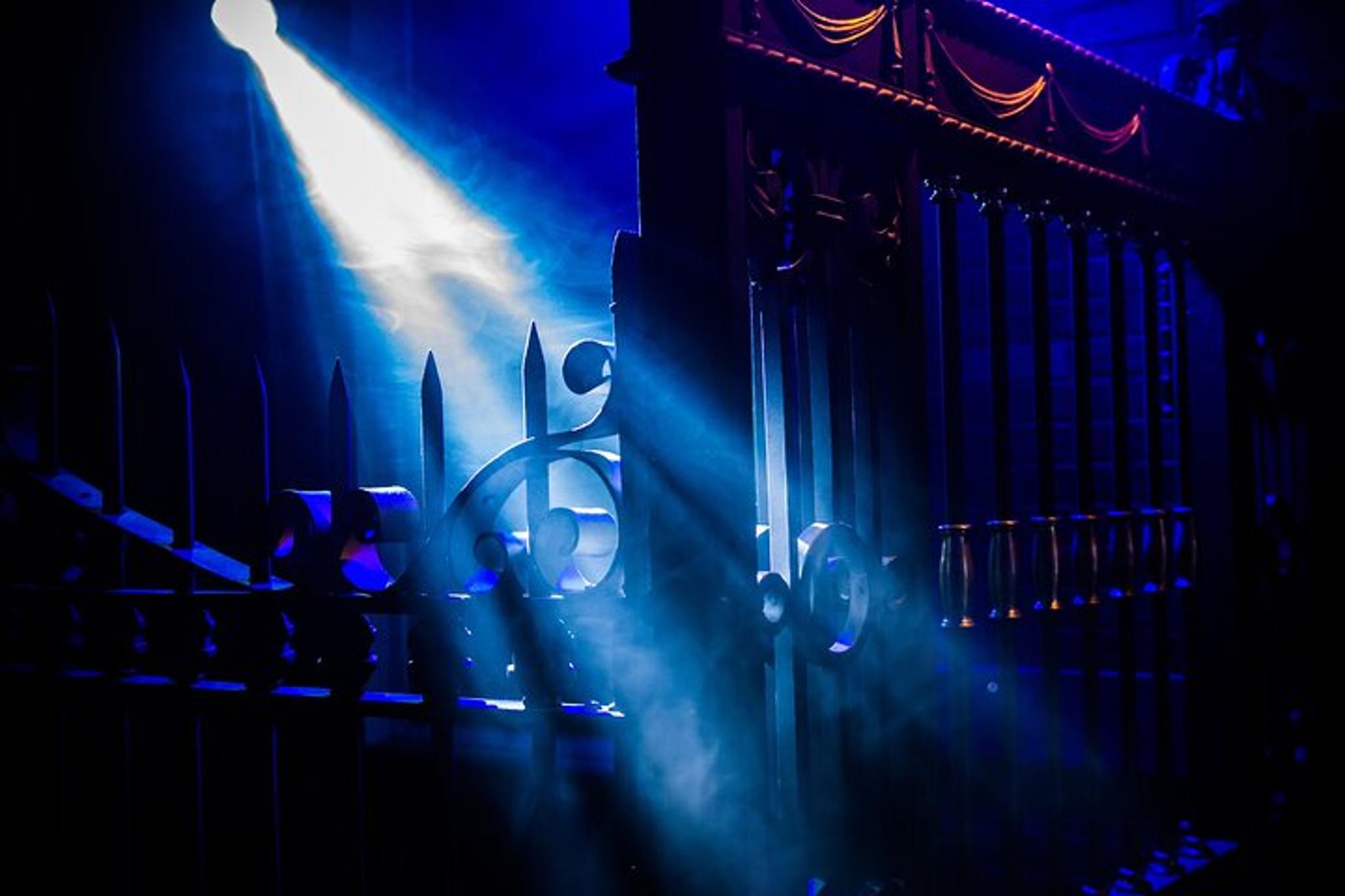 Mystic Dark Room Holiday Spectacular - Image 5