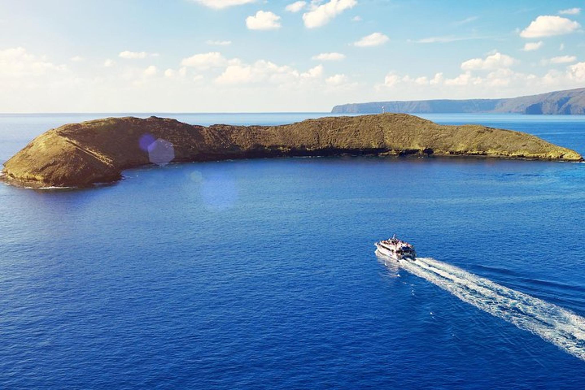 Maui Molokini and Turtle Town Snorkeling Tour - Image 3