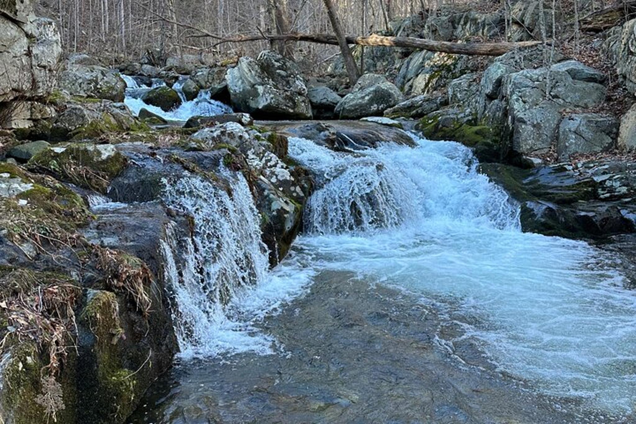 Virginia Trout Fishing Excursion - Image 2
